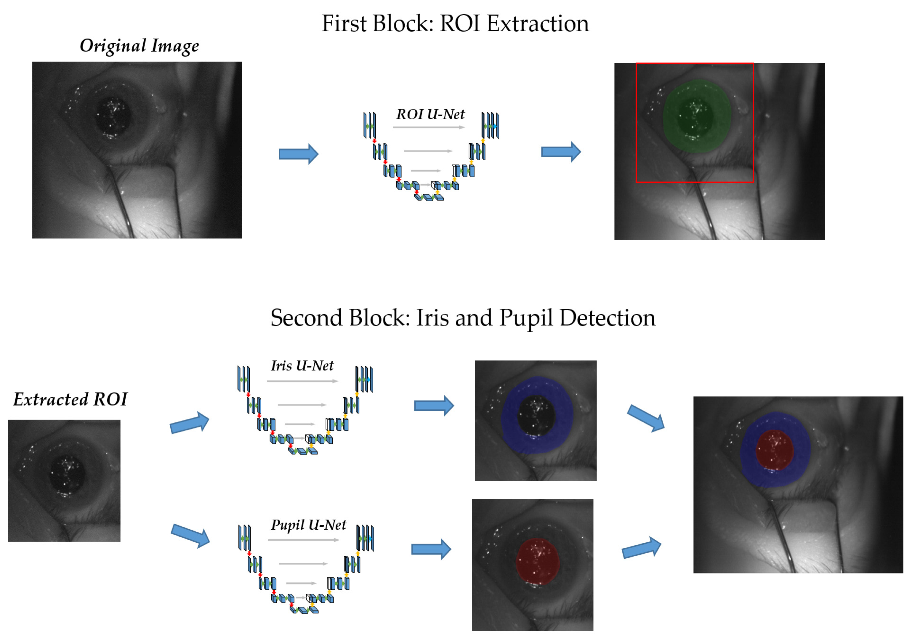 Sensors 21 04400 g004