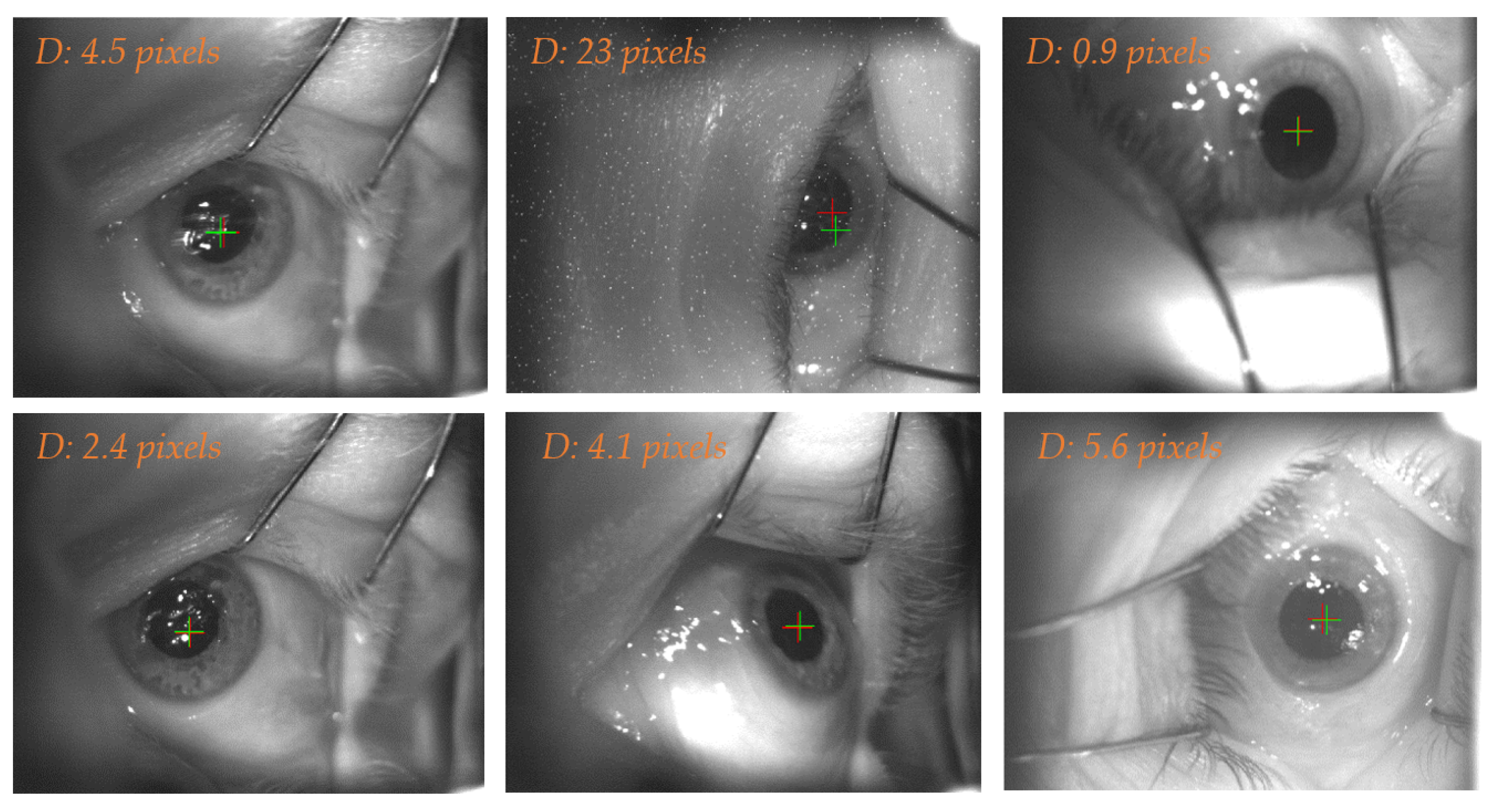 Sensors 21 04400 g006