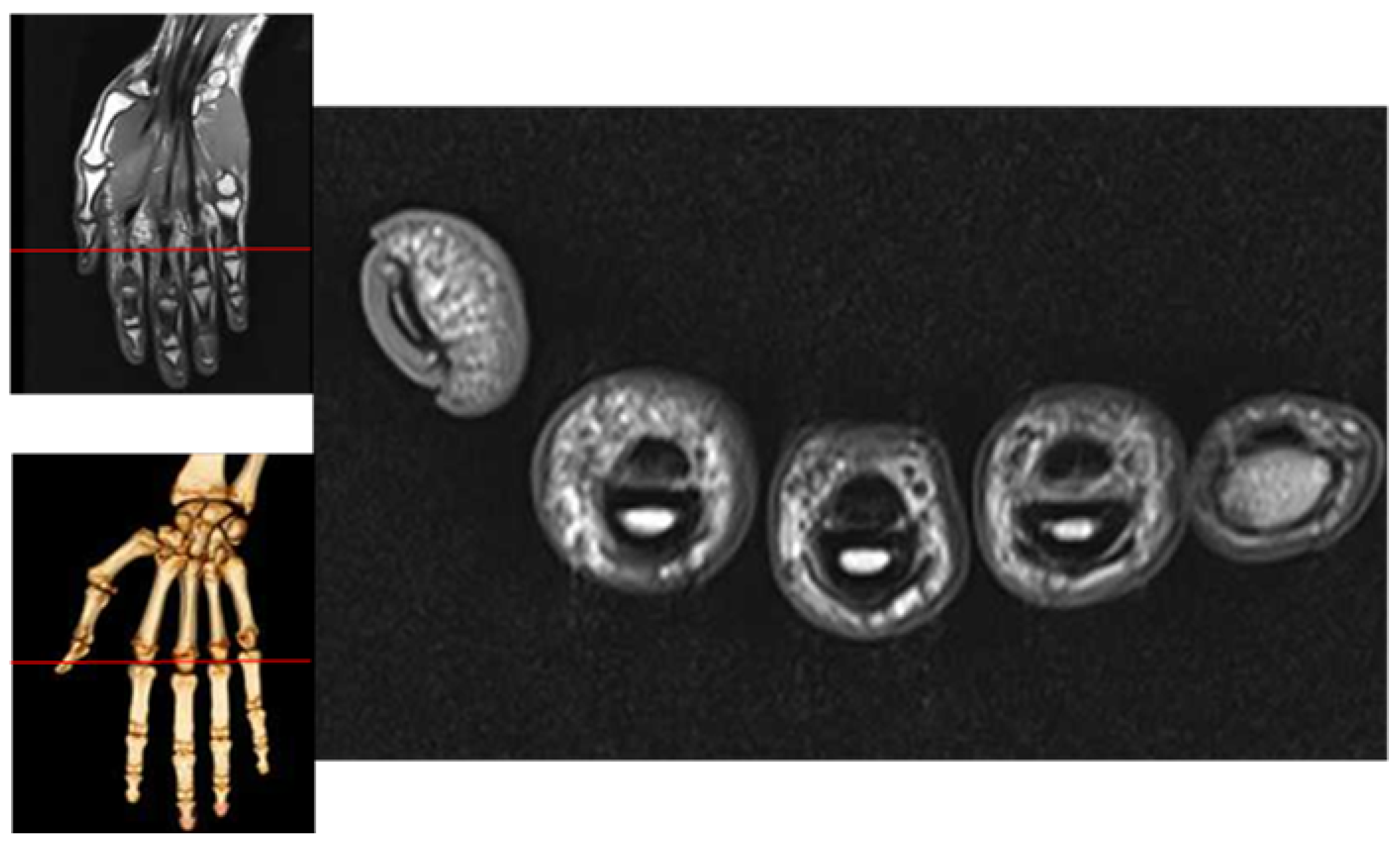 Sensors 21 04402 g003