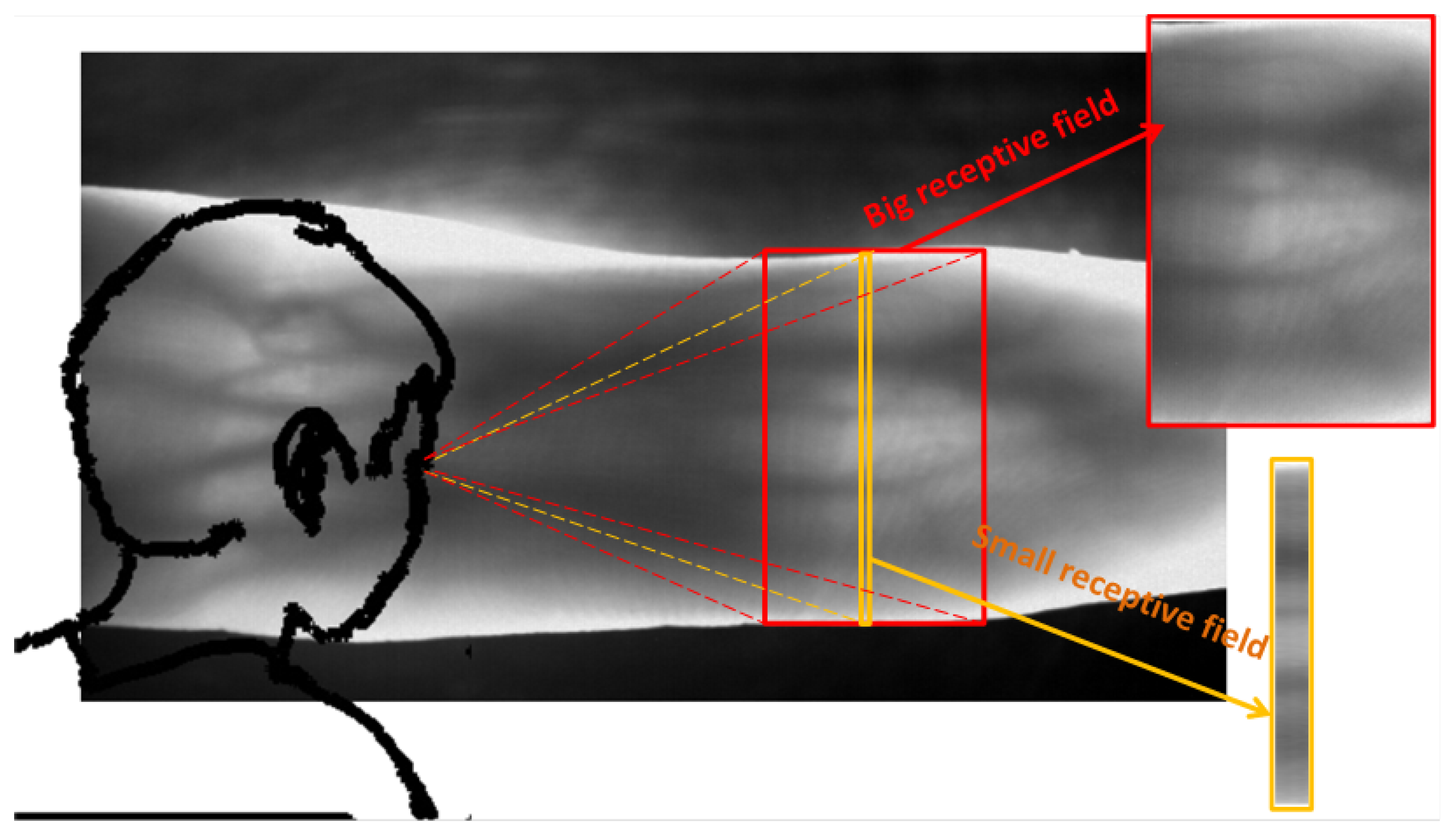 Sensors 21 04402 g005