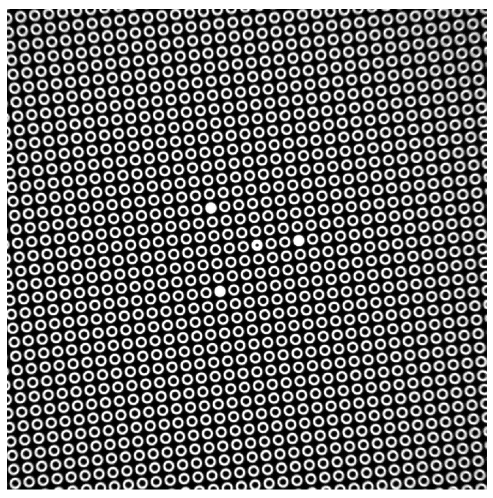 Sensors 21 04411 g001