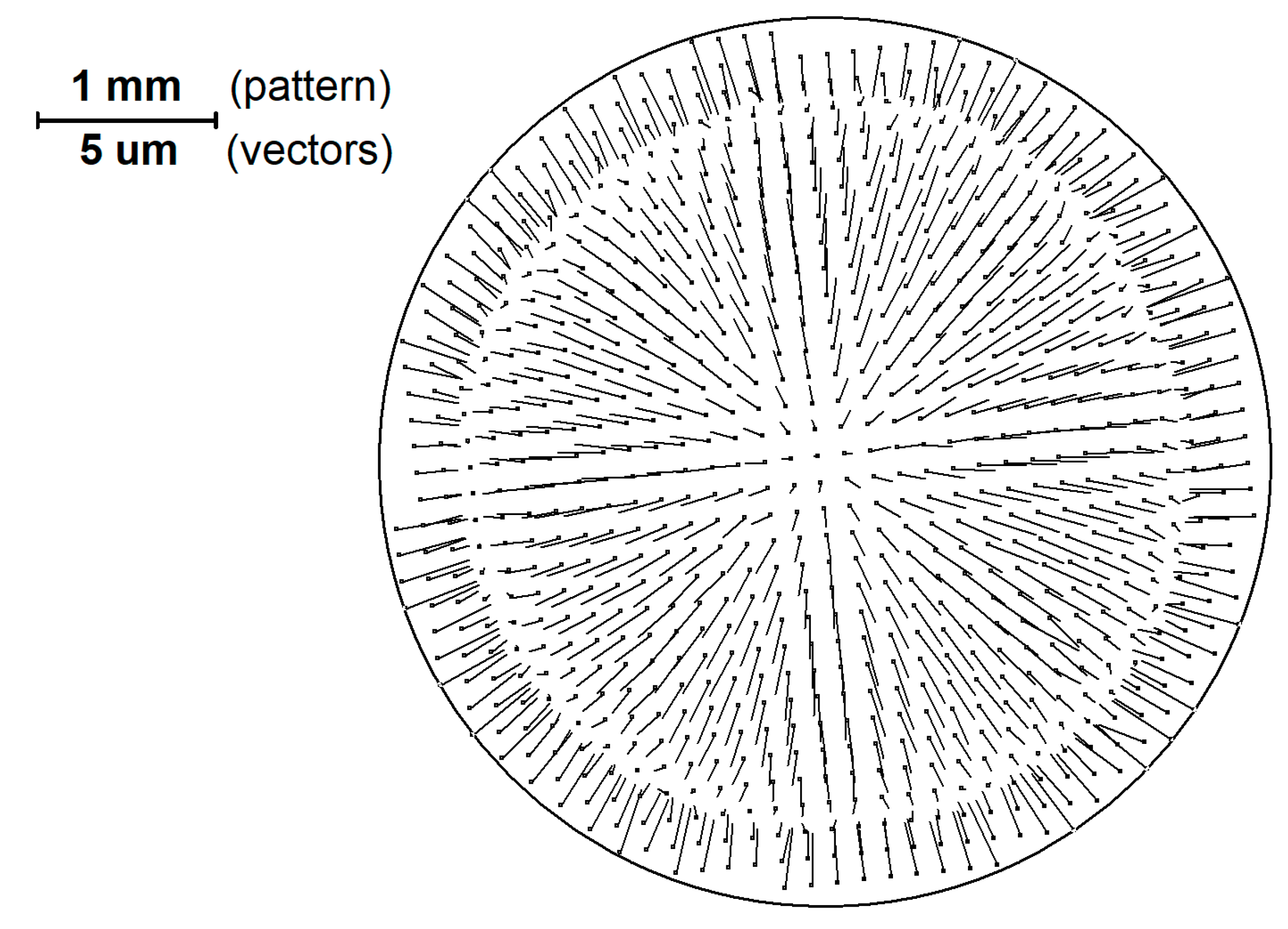 Sensors 21 04411 g003