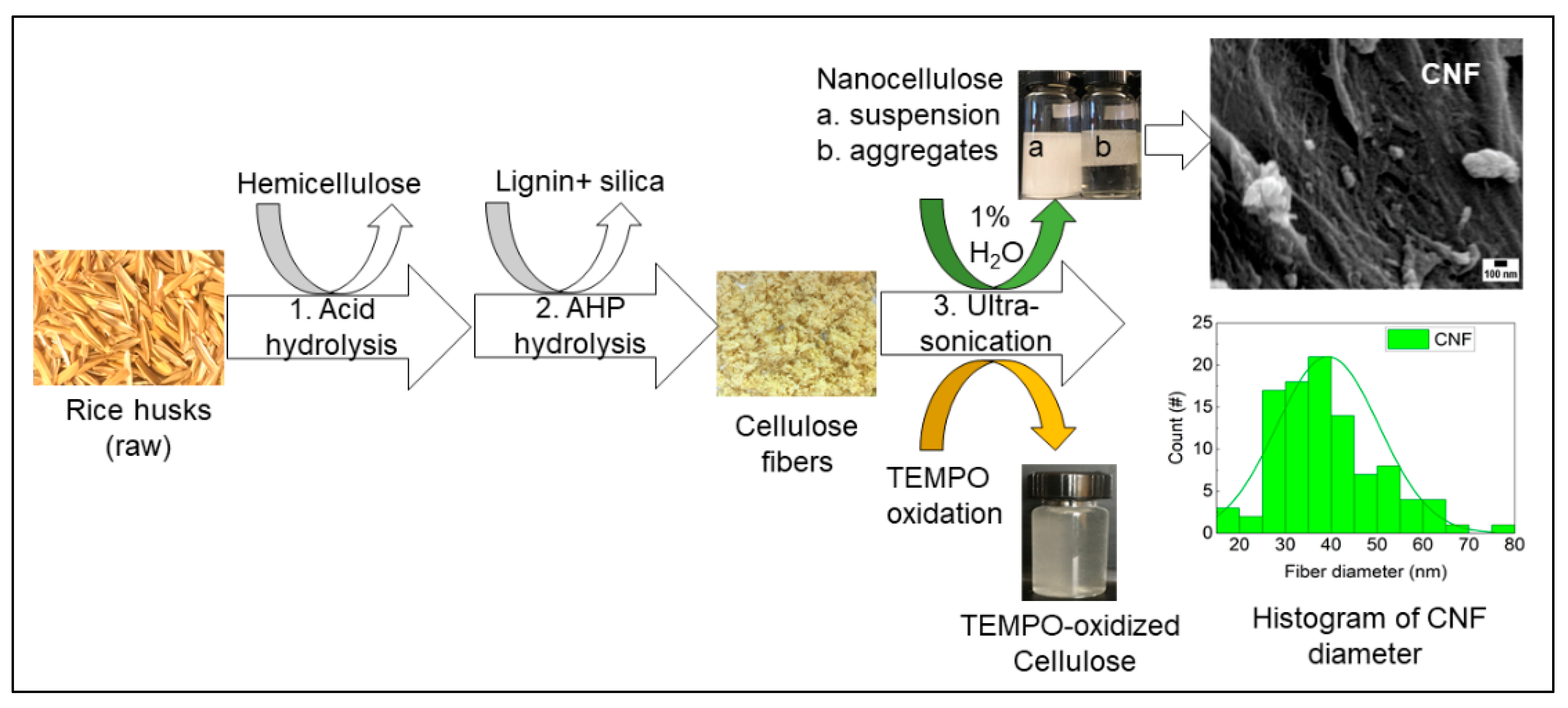Sensors 21 04415 g001