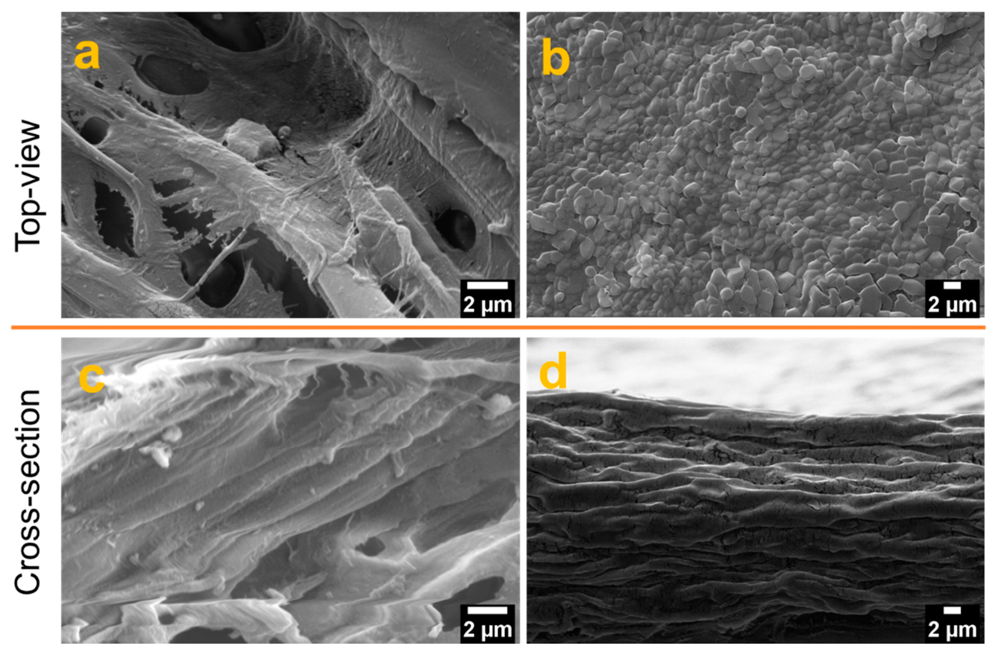 Sensors 21 04415 g004