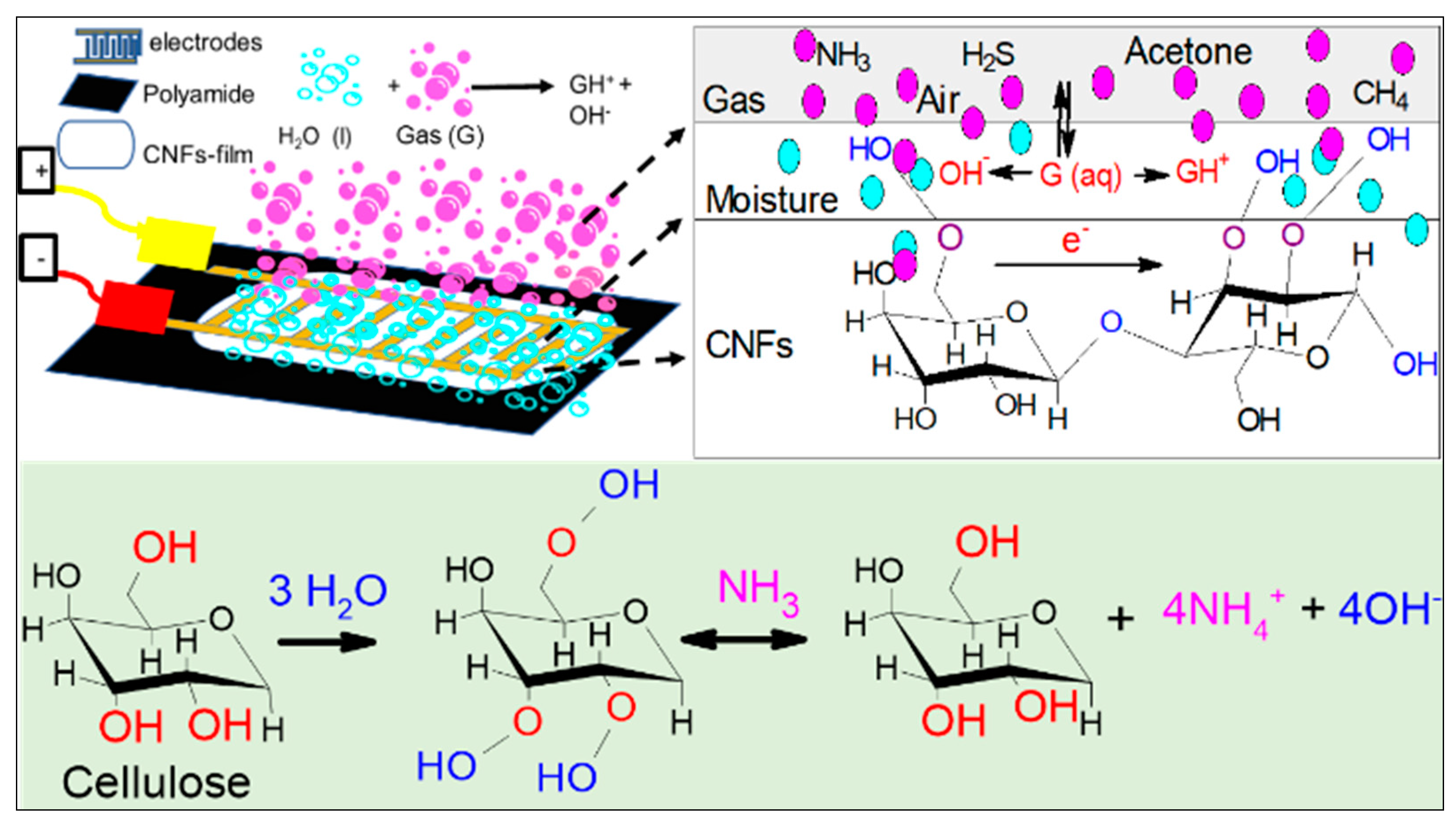 Sensors 21 04415 g005