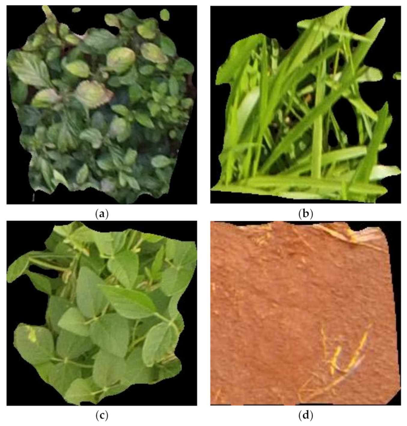 Sensors 21 04417 g004