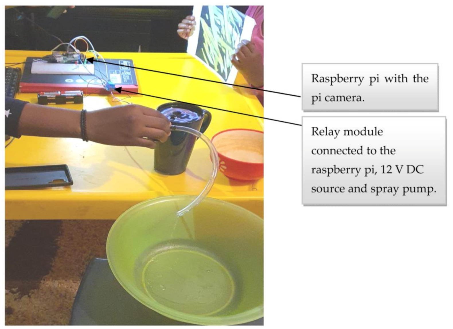 Sensors 21 04417 g011