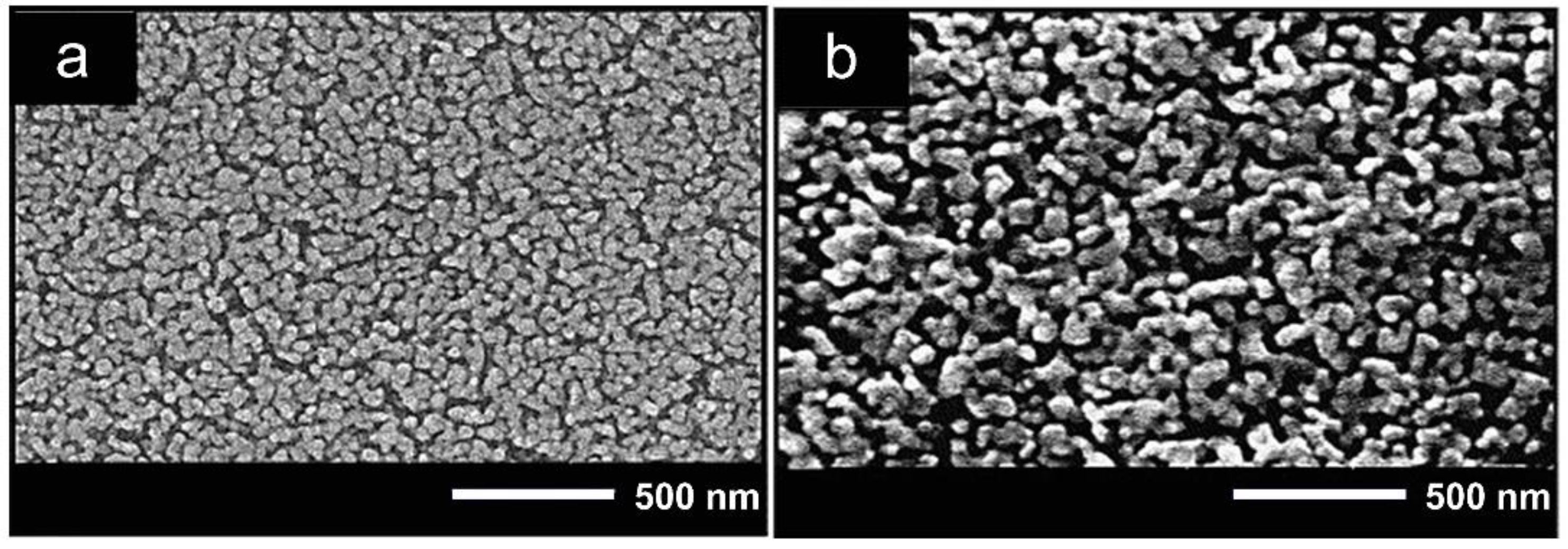 Sensors 21 04425 g001