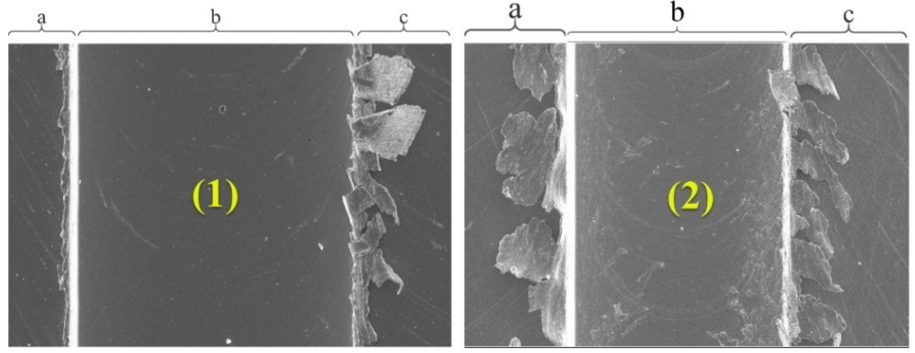 Sensors 21 04432 g004