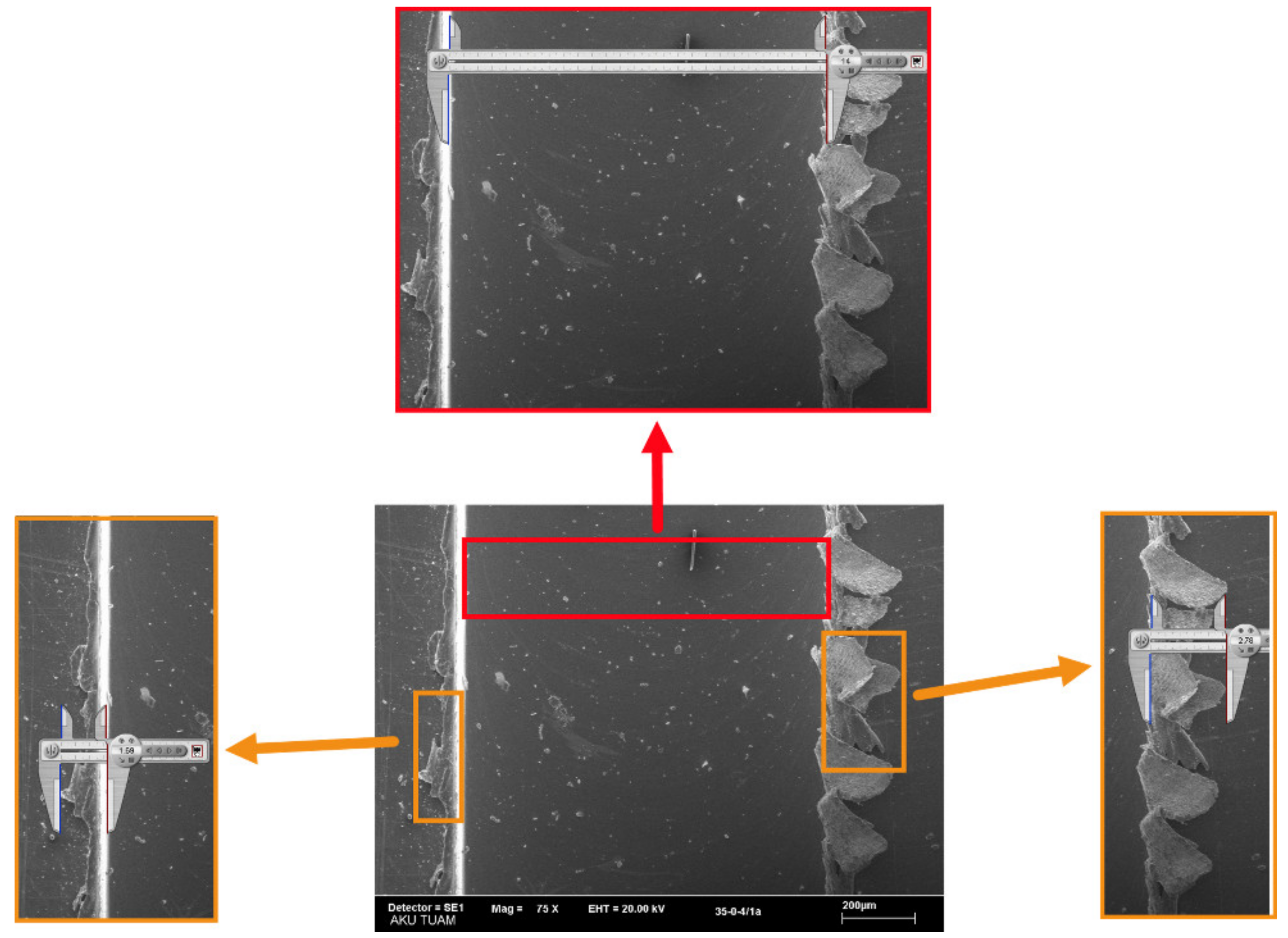 Sensors 21 04432 g007