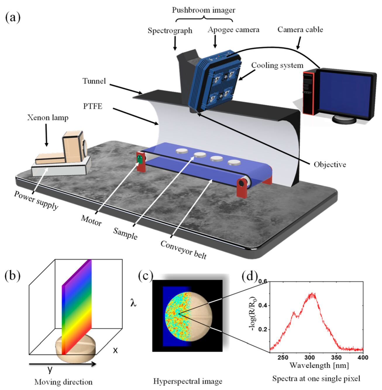 Sensors 21 04436 g002