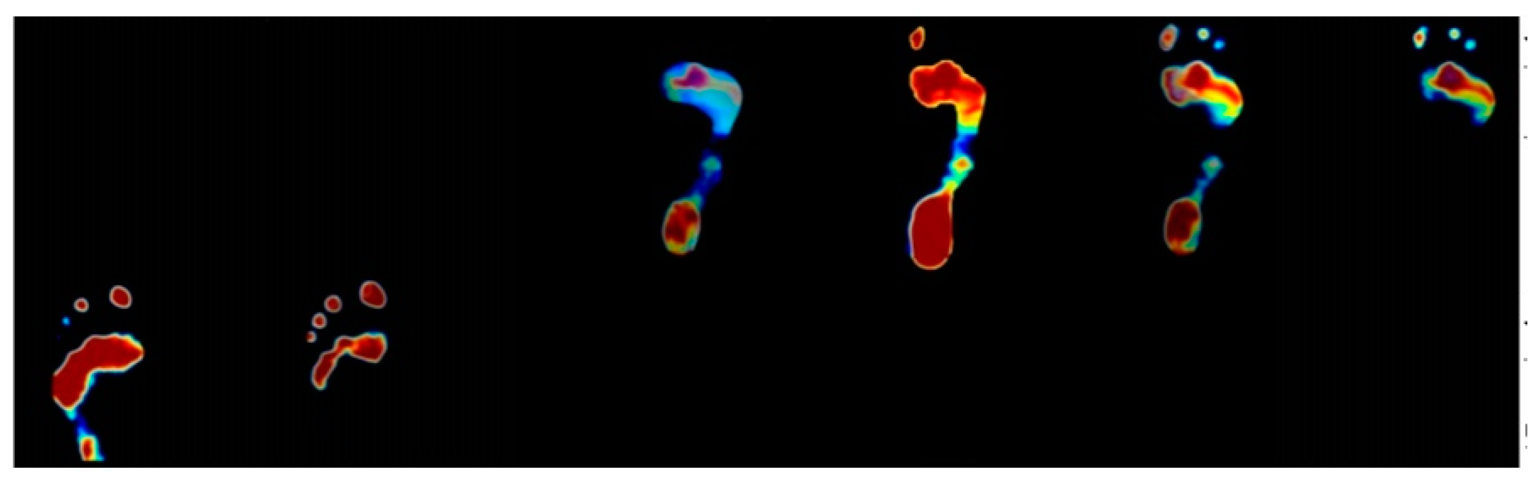 Sensors 21 04437 g005