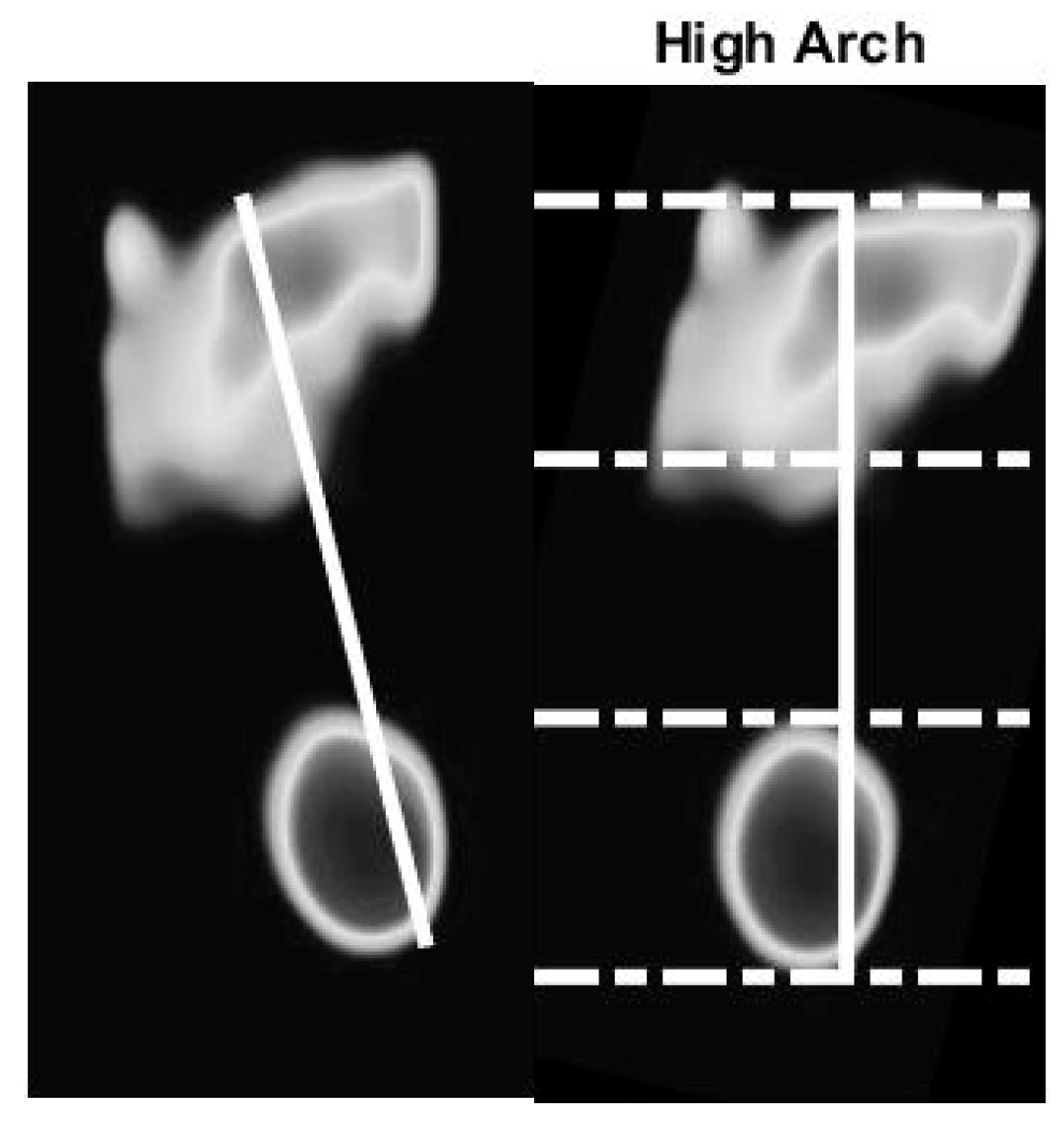 Sensors 21 04437 g012