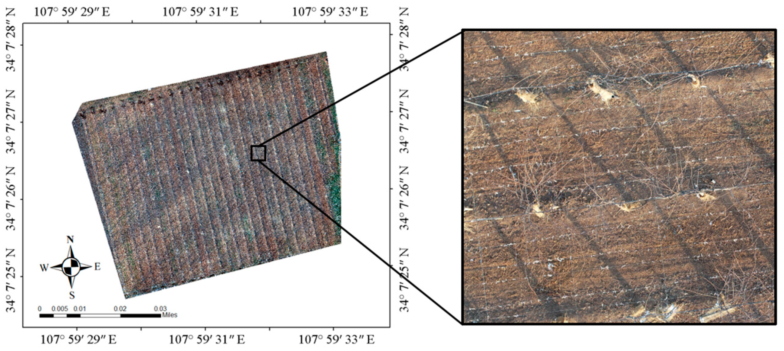 Sensors 21 04442 g001