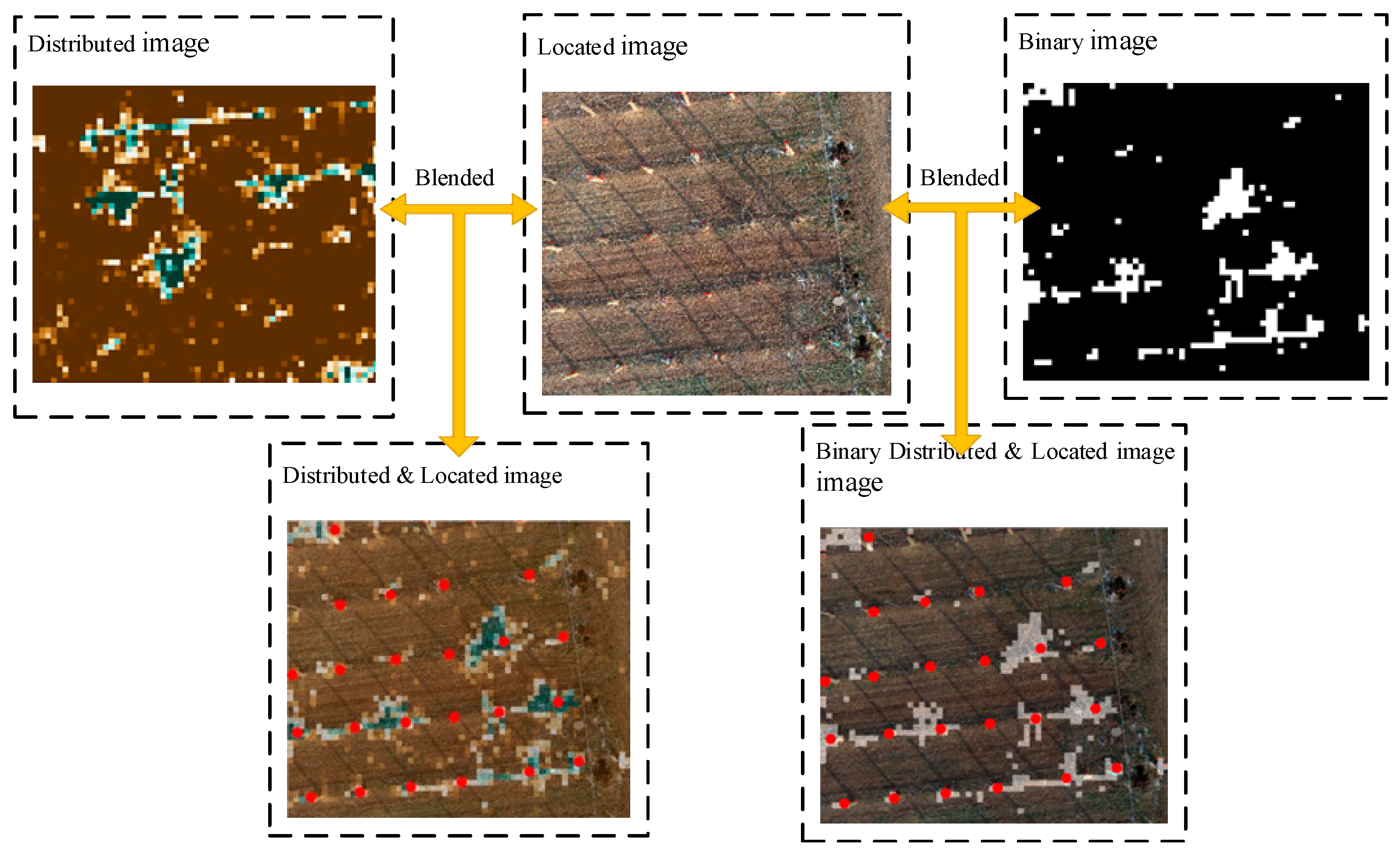 Sensors 21 04442 g005