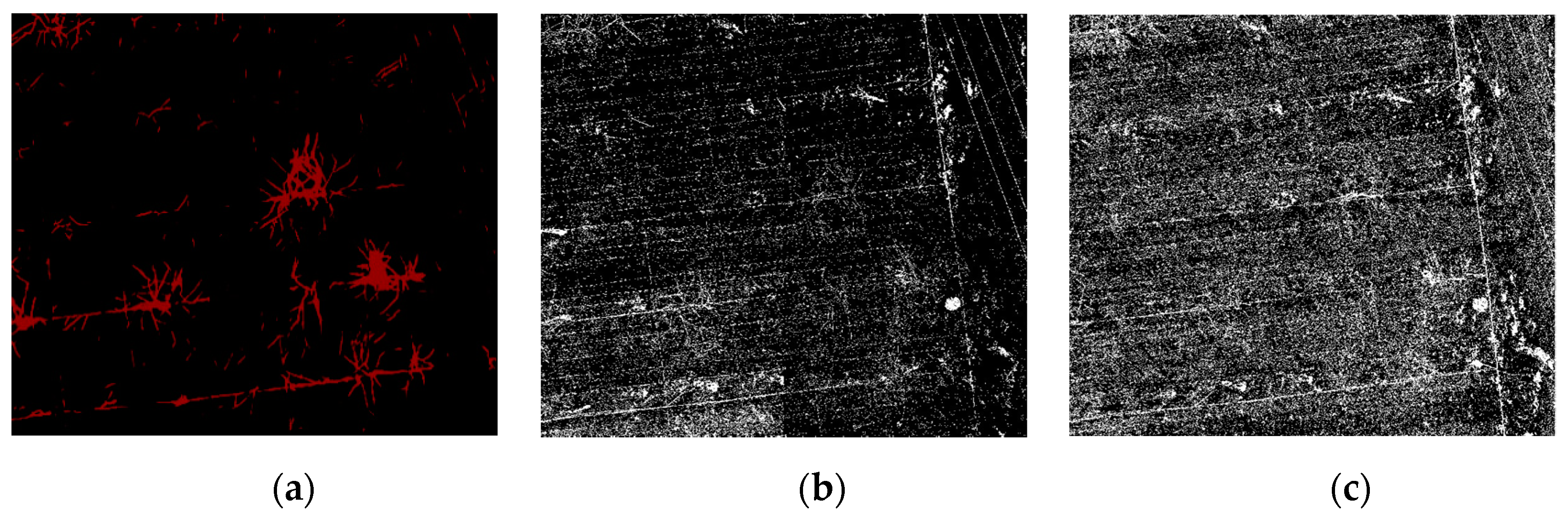 Sensors 21 04442 g006