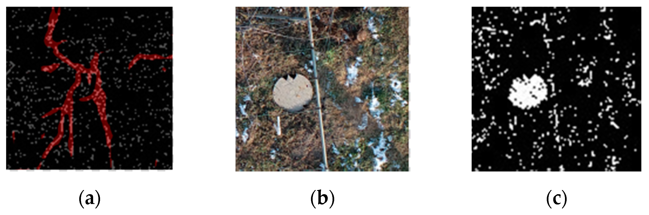 Sensors 21 04442 g007