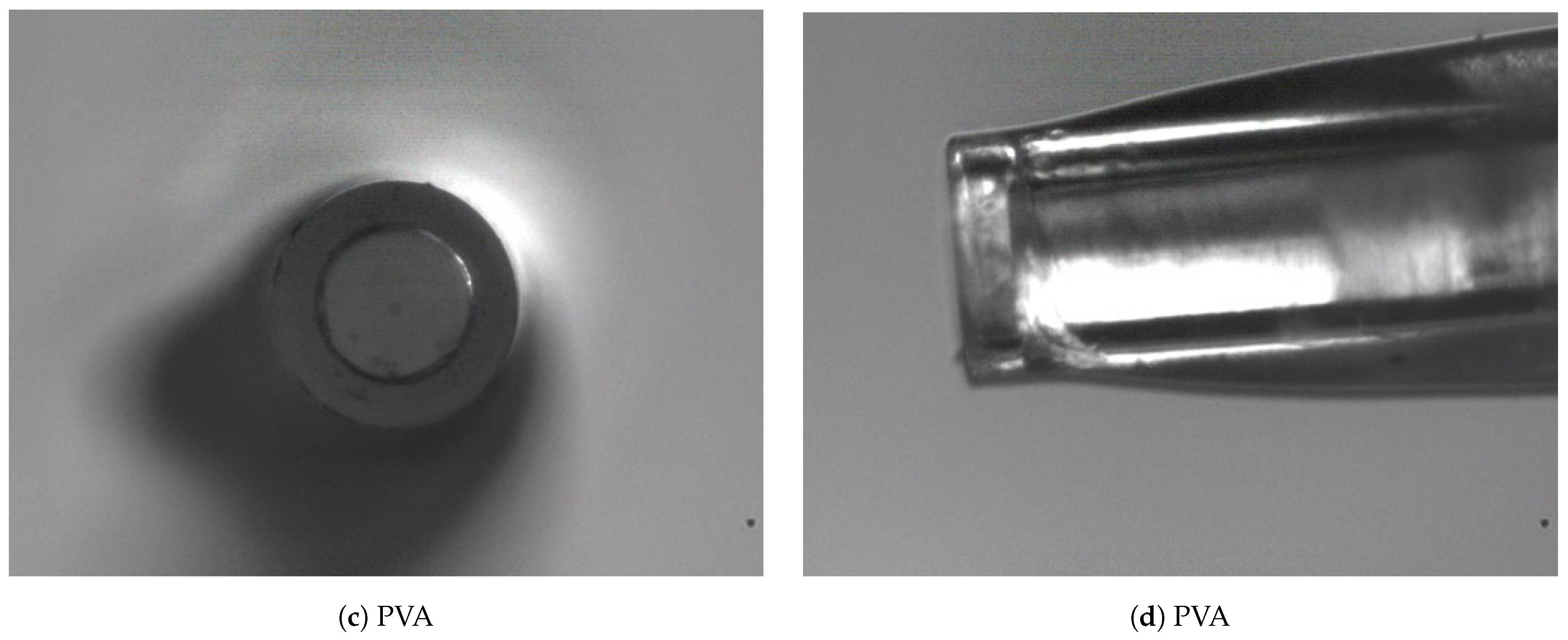 Sensors 21 04445 g007b