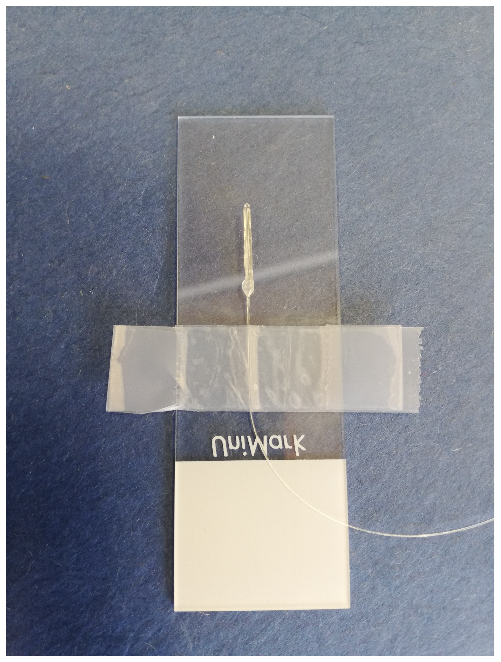 Sensors 21 04445 g009