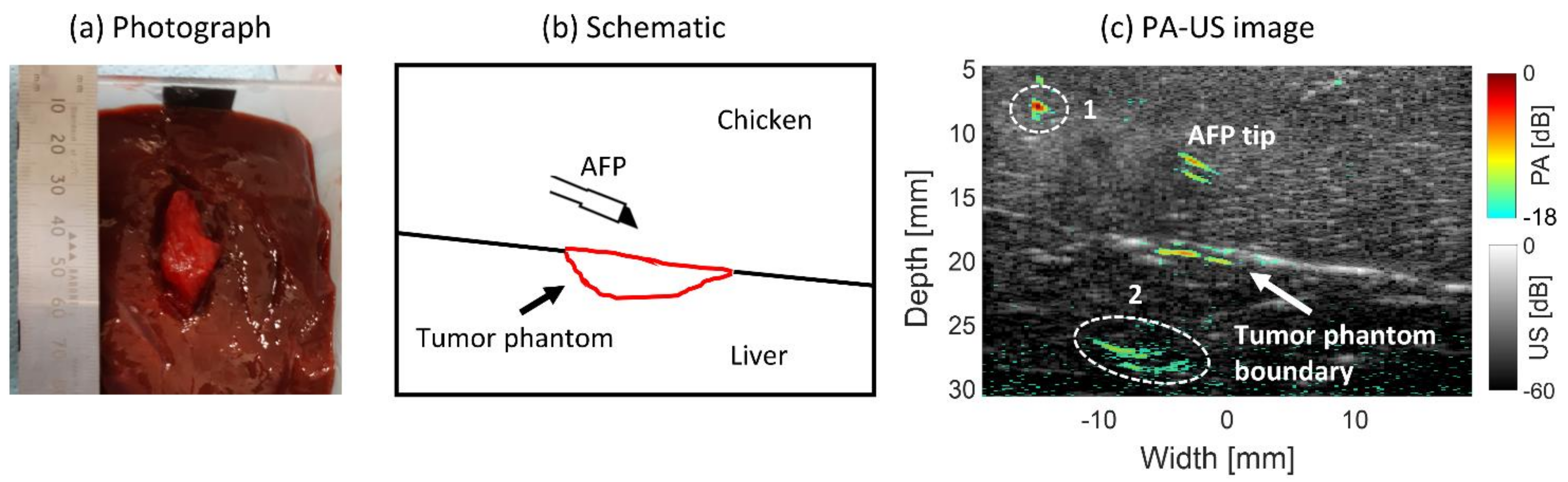 Sensors 21 04458 g007