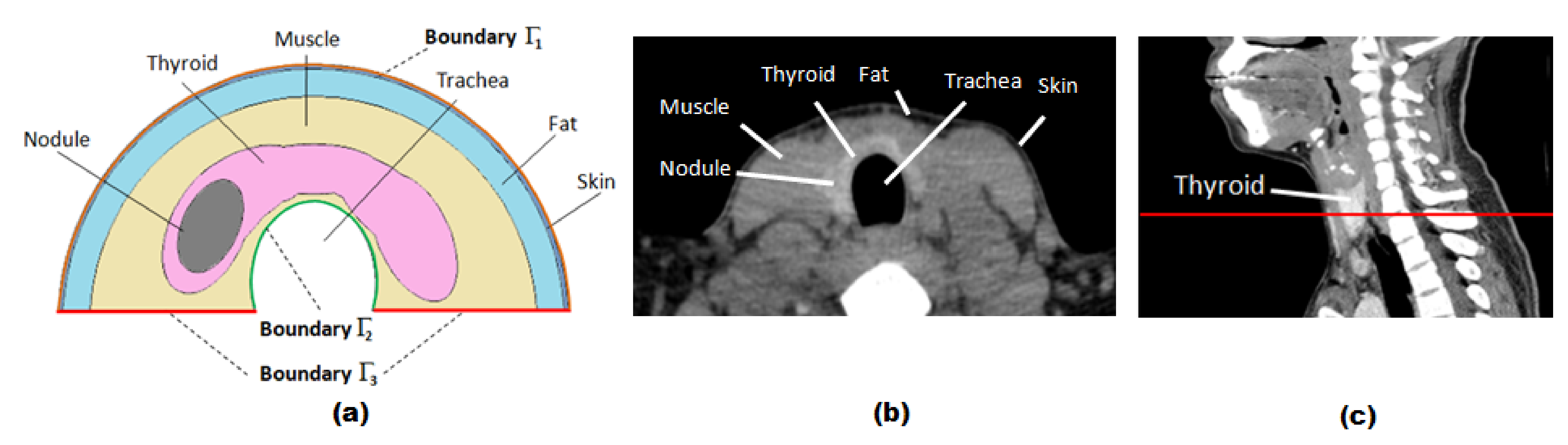 Sensors 21 04459 g003