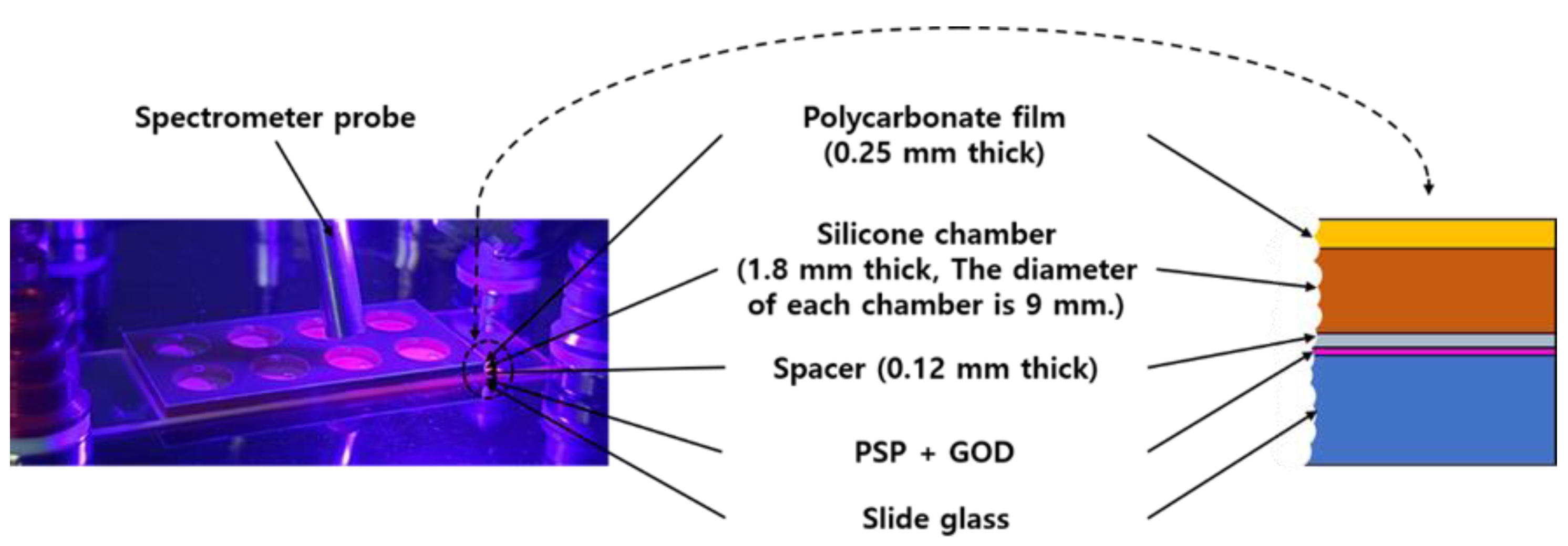Sensors 21 04474 g001