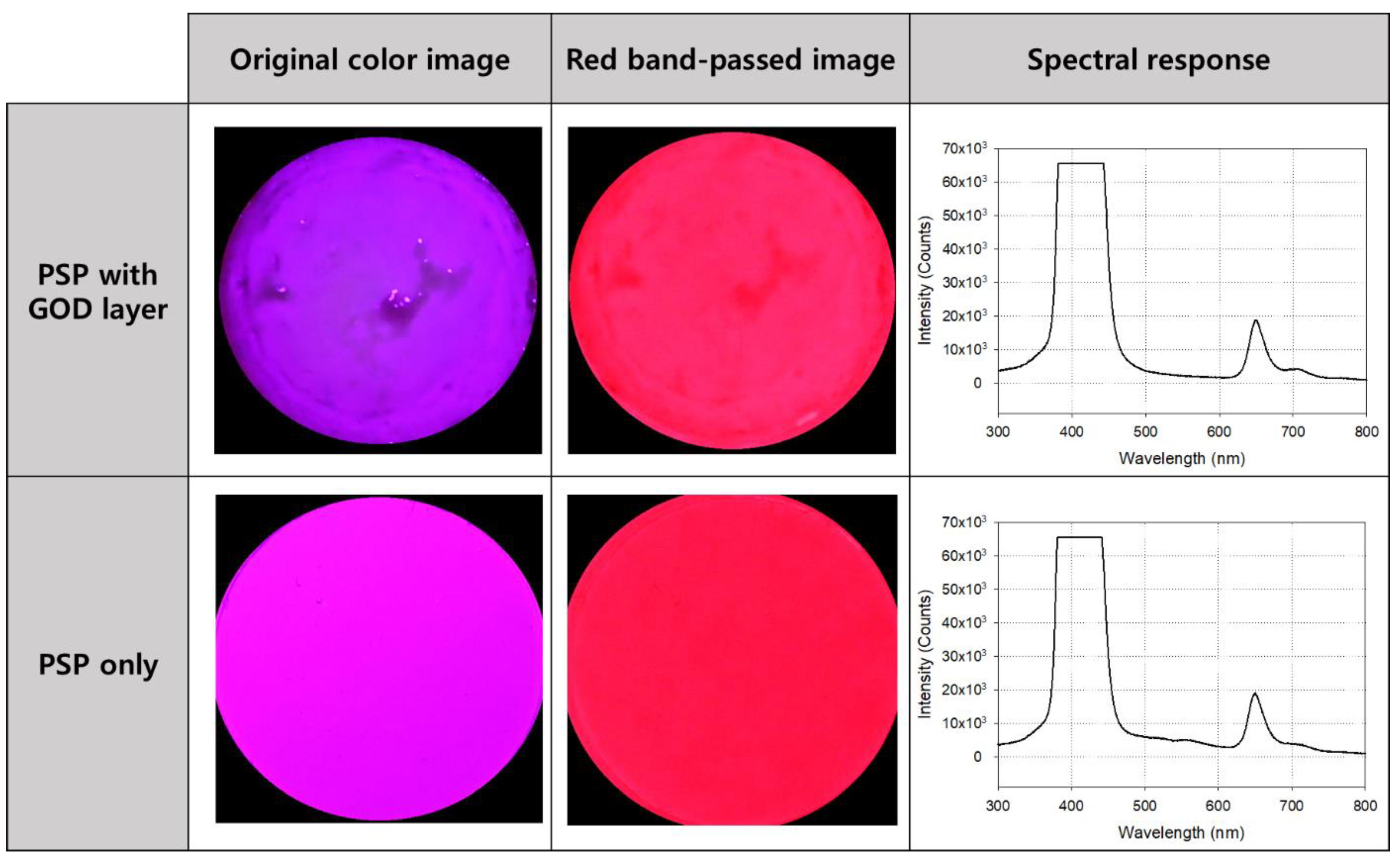 Sensors 21 04474 g004