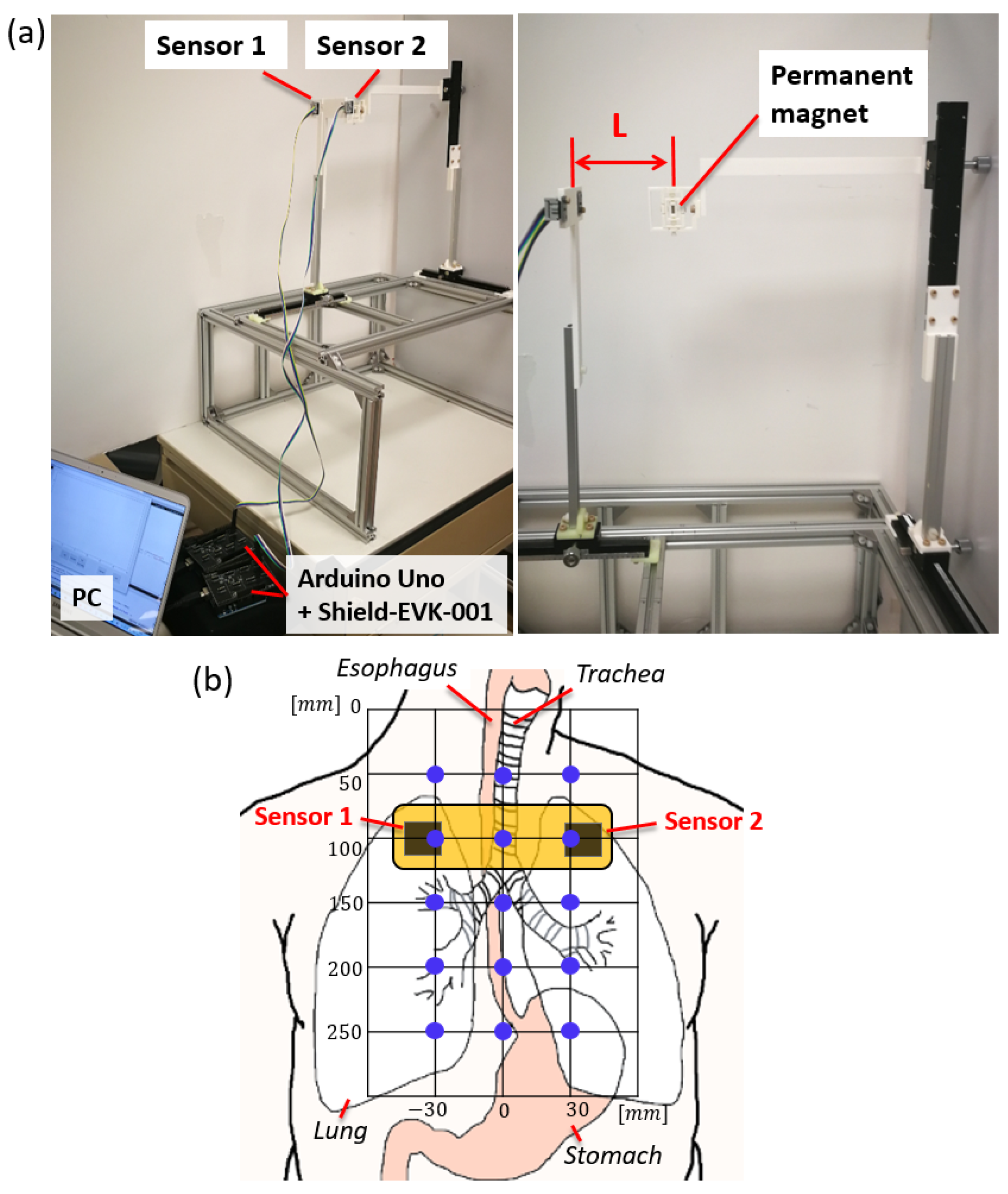 Sensors 21 04491 g004