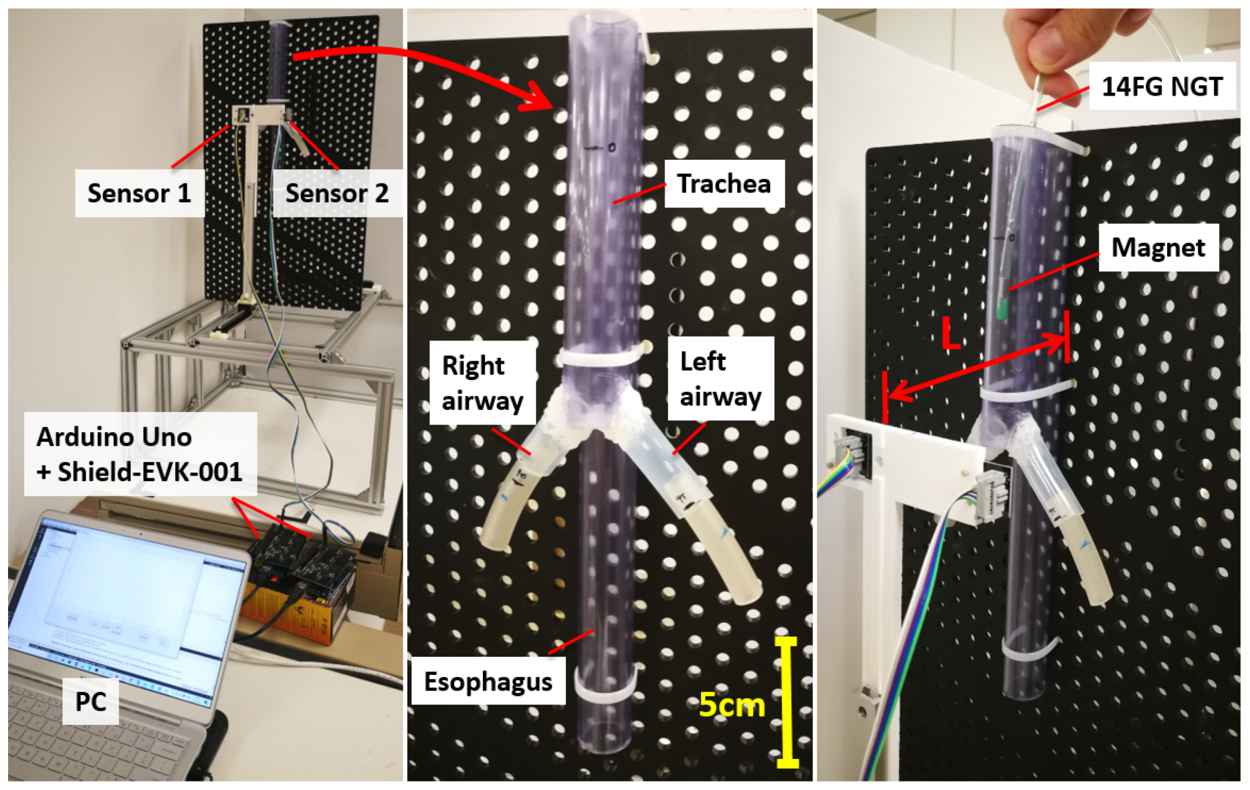 Sensors 21 04491 g005