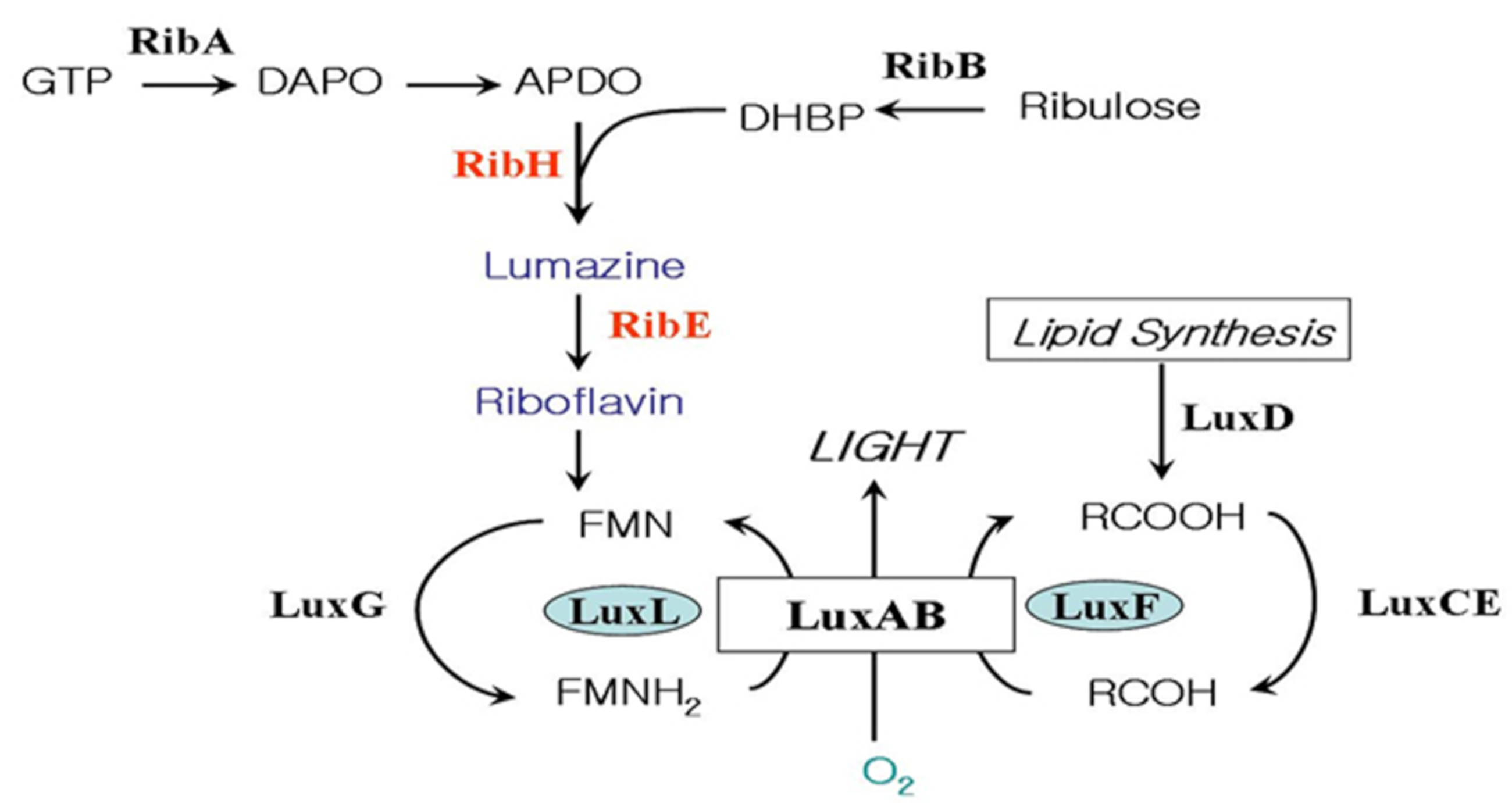 Sensors 21 04506 g001