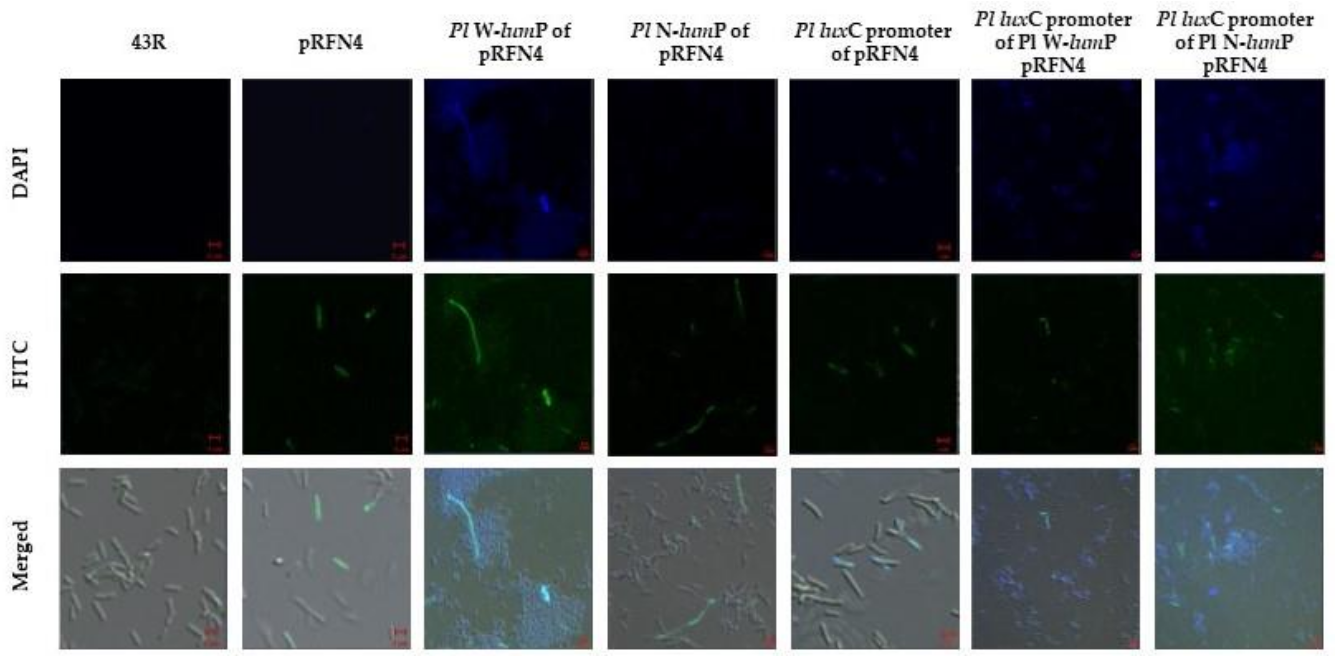 Sensors 21 04506 g008