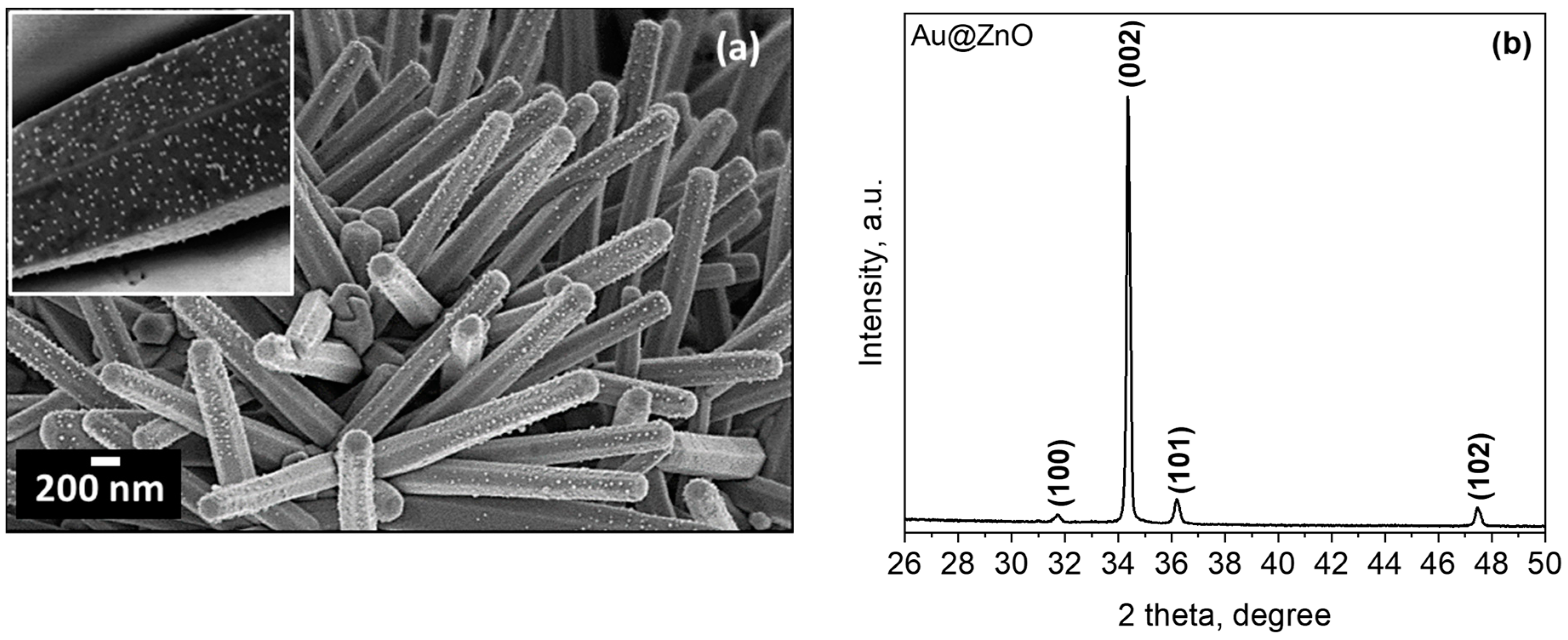 Sensors 21 04509 g001