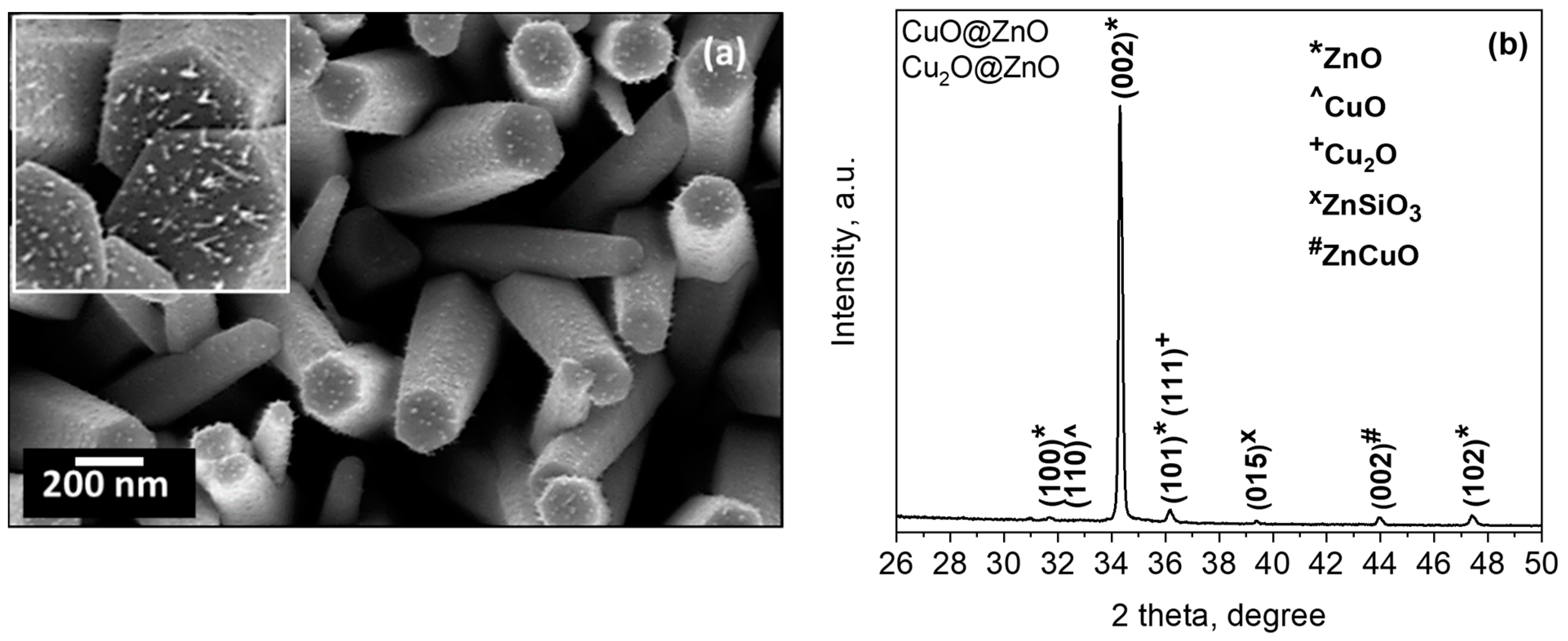 Sensors 21 04509 g007
