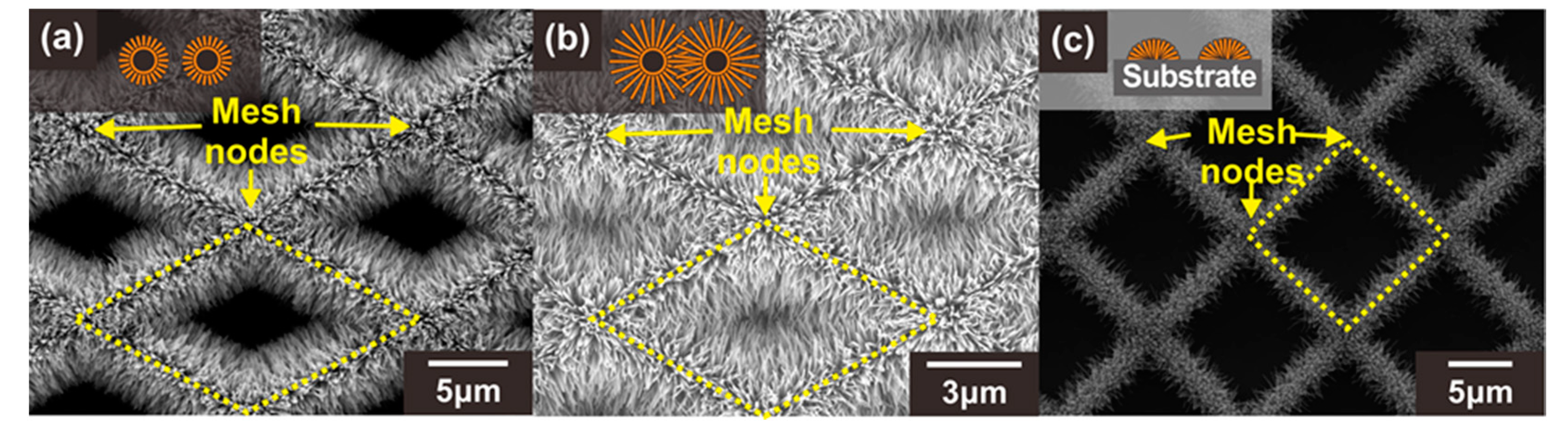 Sensors 21 04525 g003