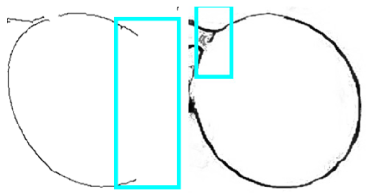 Sensors 21 04532 g003