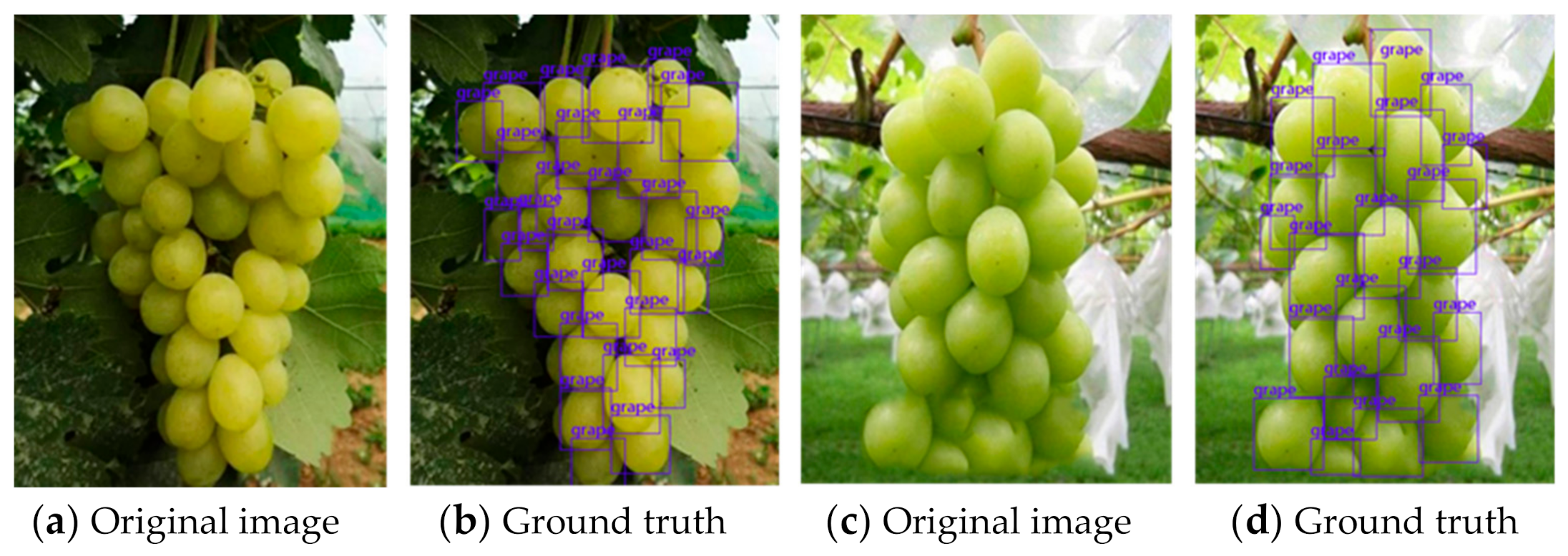 Sensors 21 04532 g008