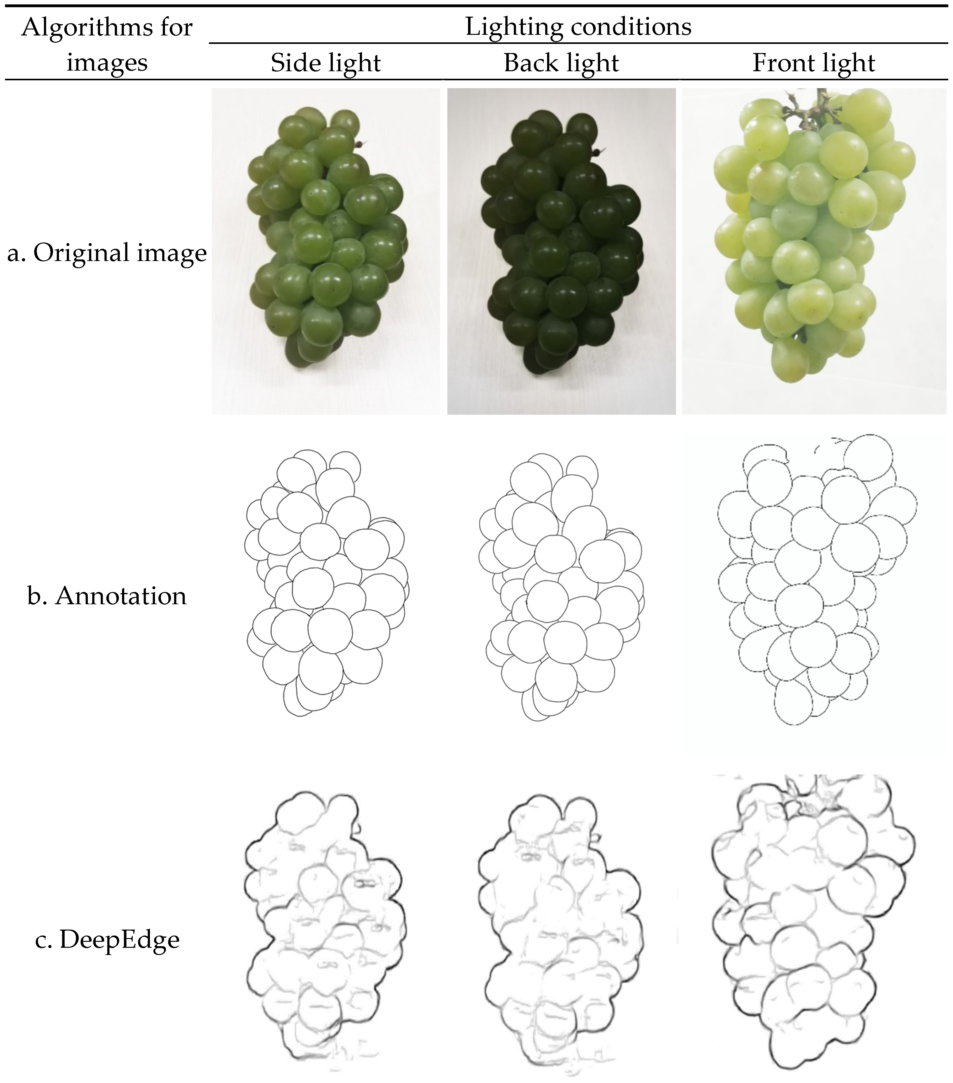 Sensors 21 04532 g010a