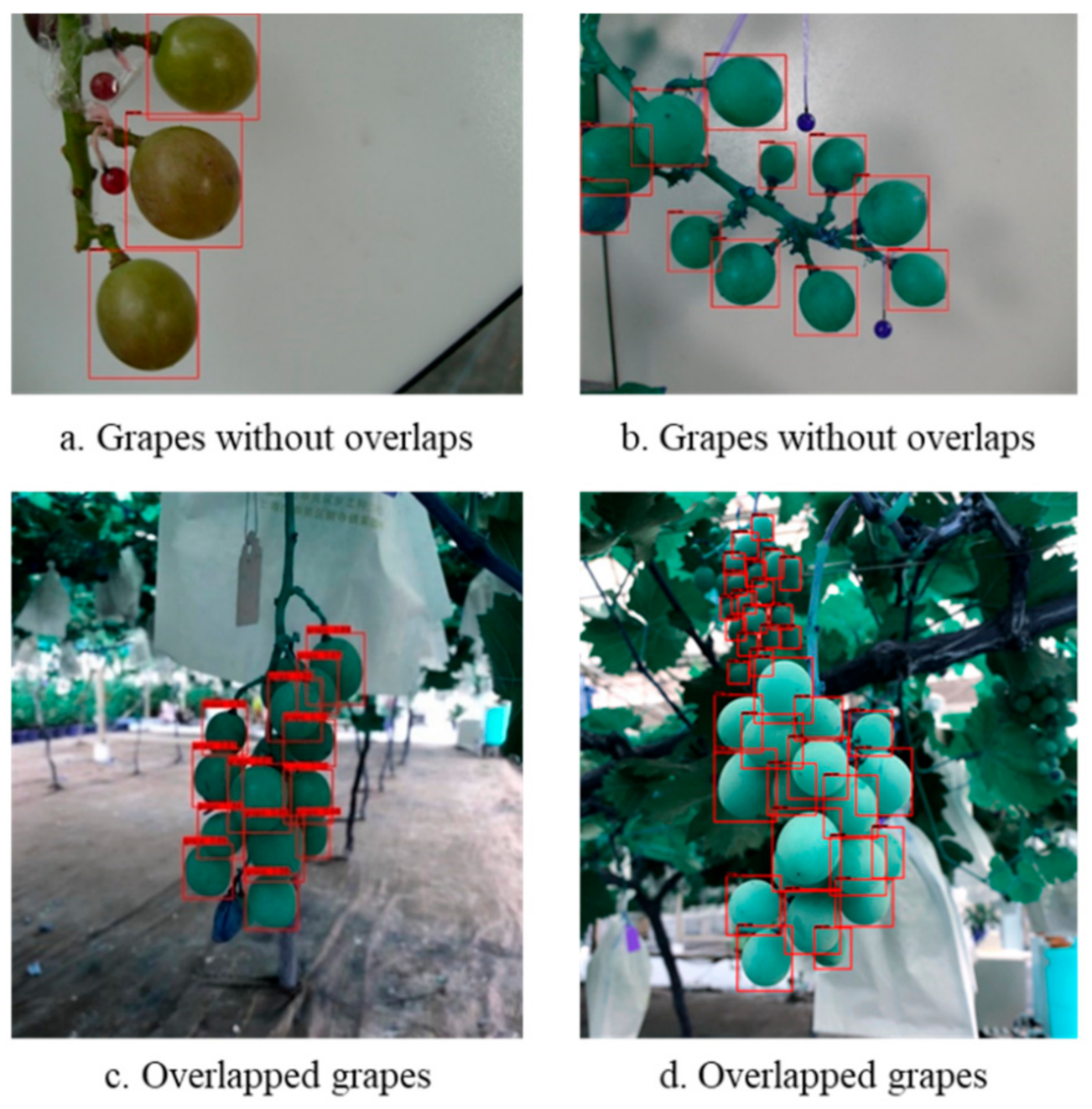 Sensors 21 04532 g011