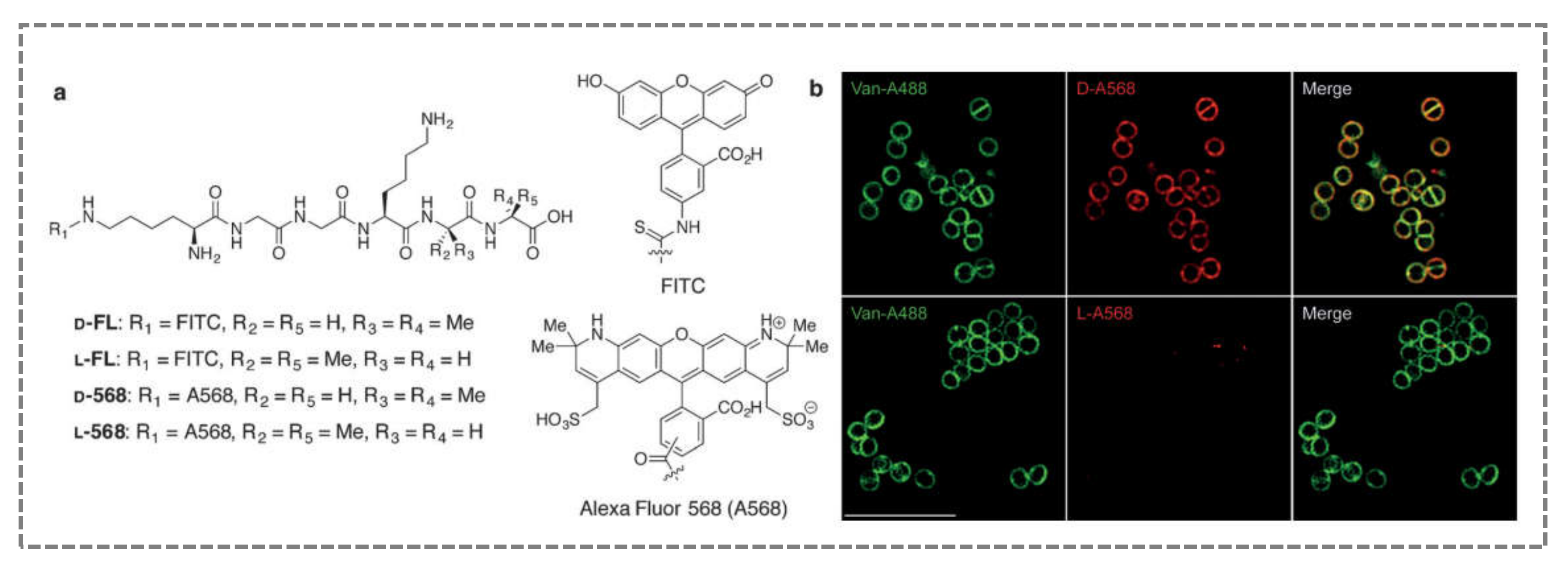 Sensors 21 04547 g004