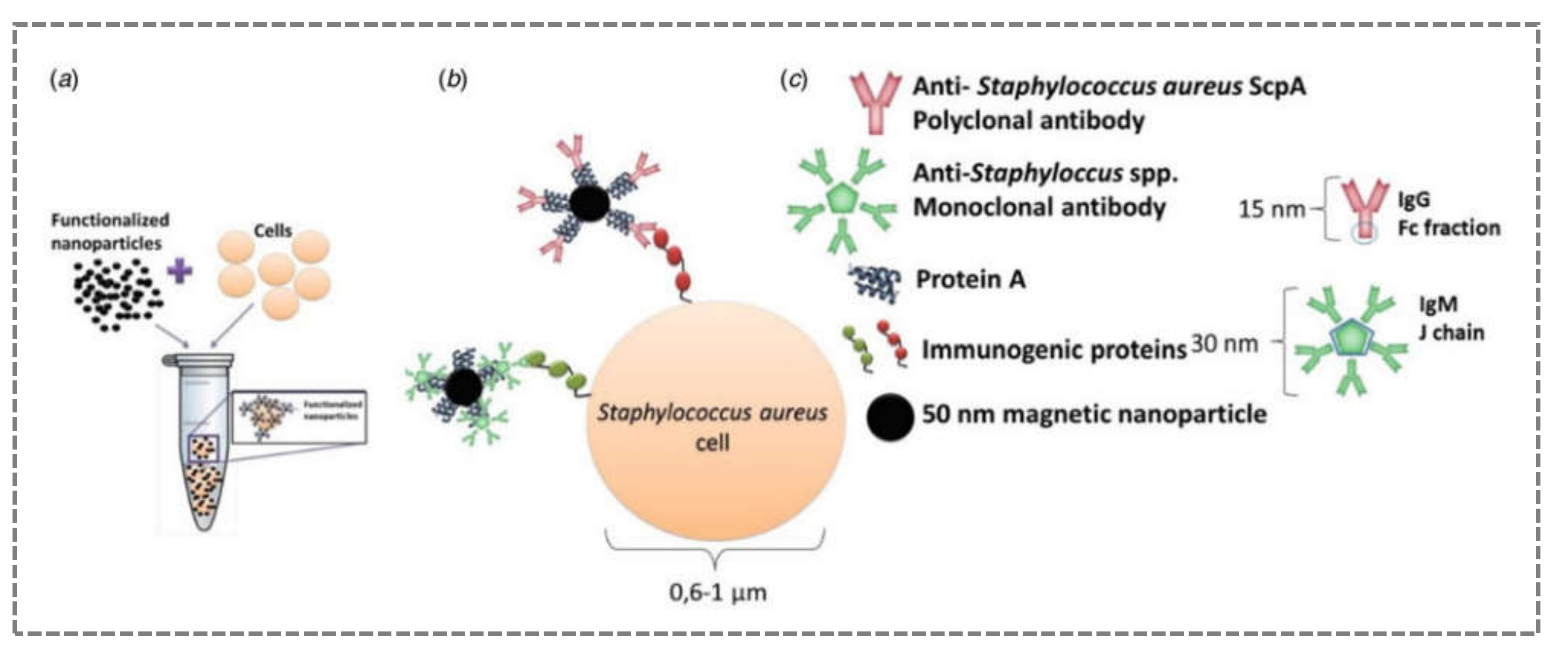 Sensors 21 04547 g005