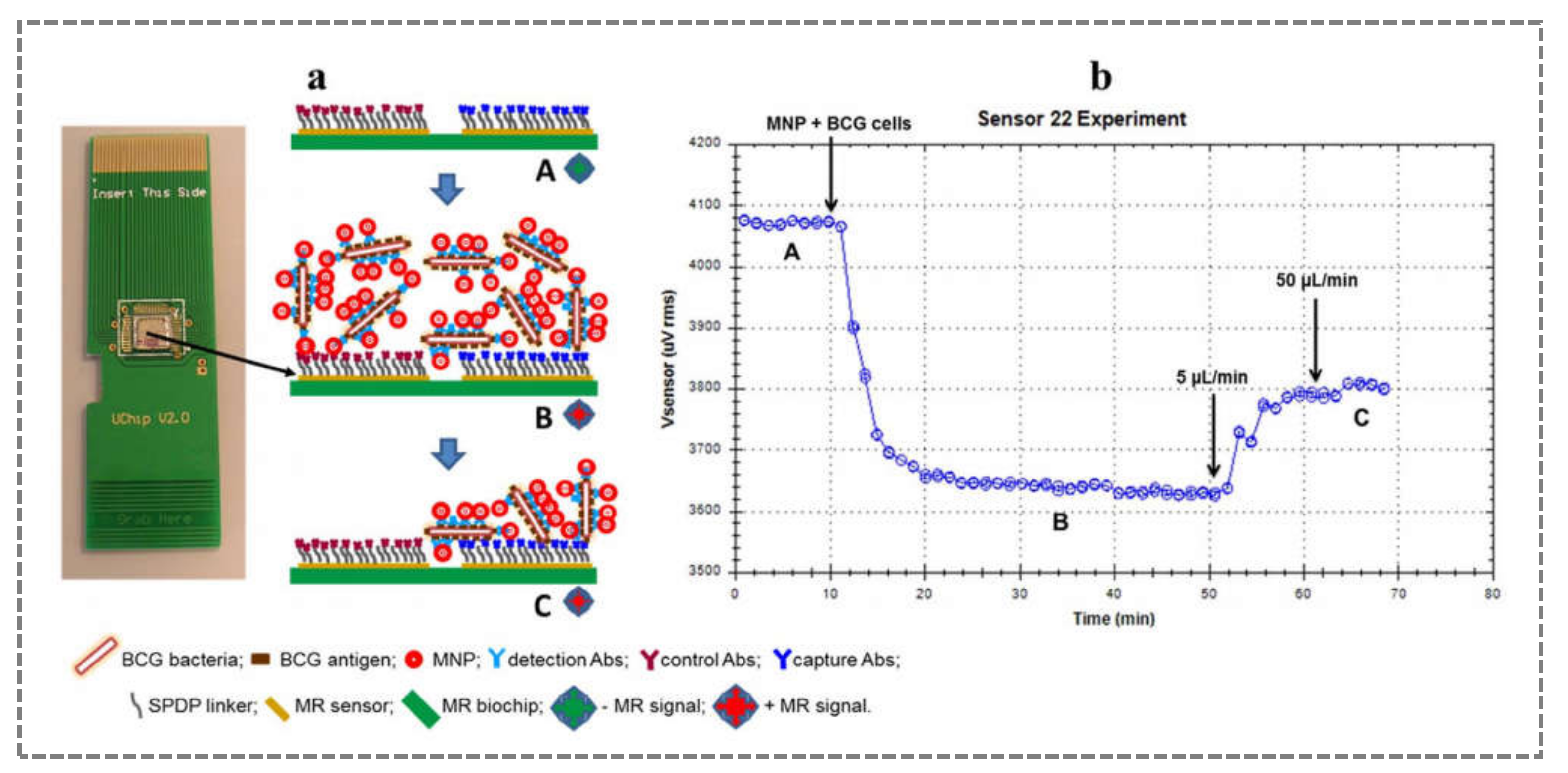 Sensors 21 04547 g006