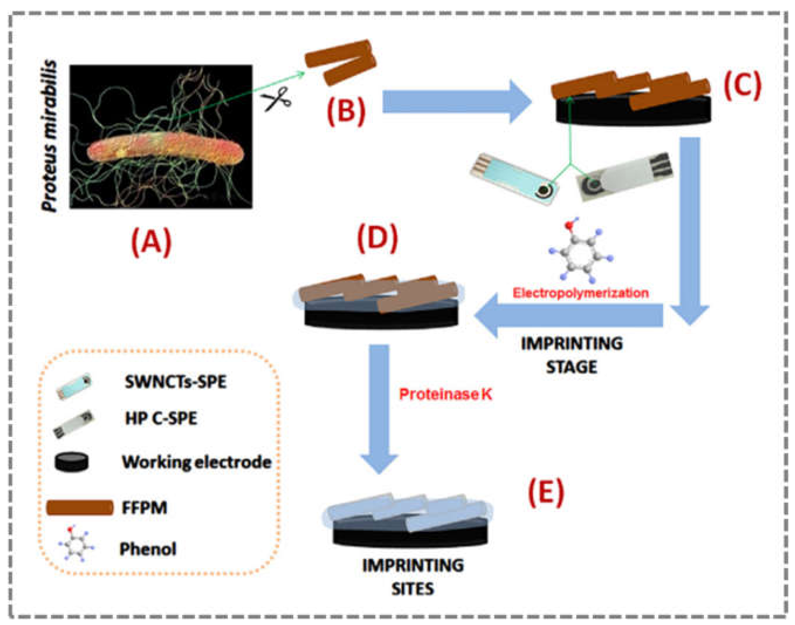 Sensors 21 04547 g007