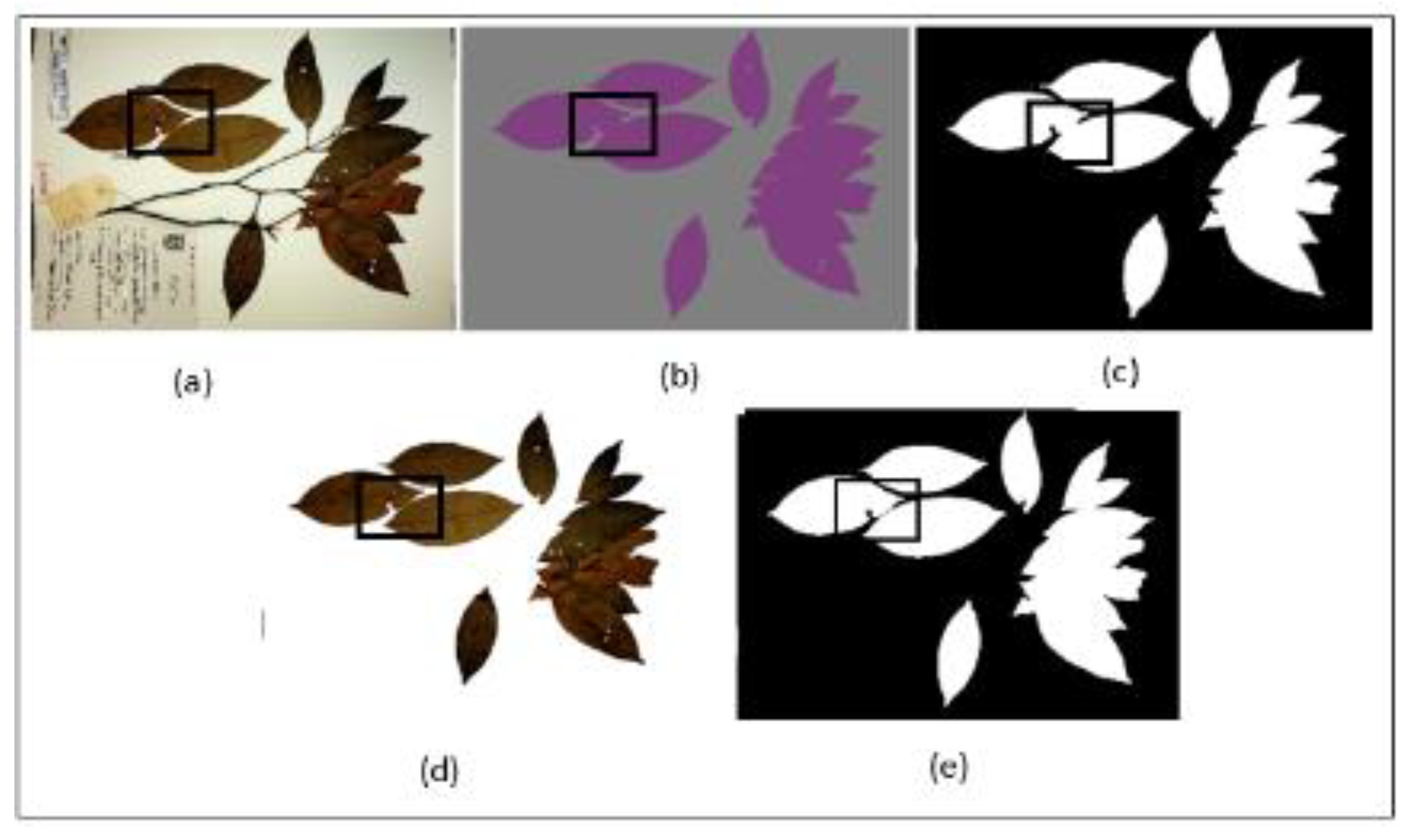 Sensors 21 04549 g005