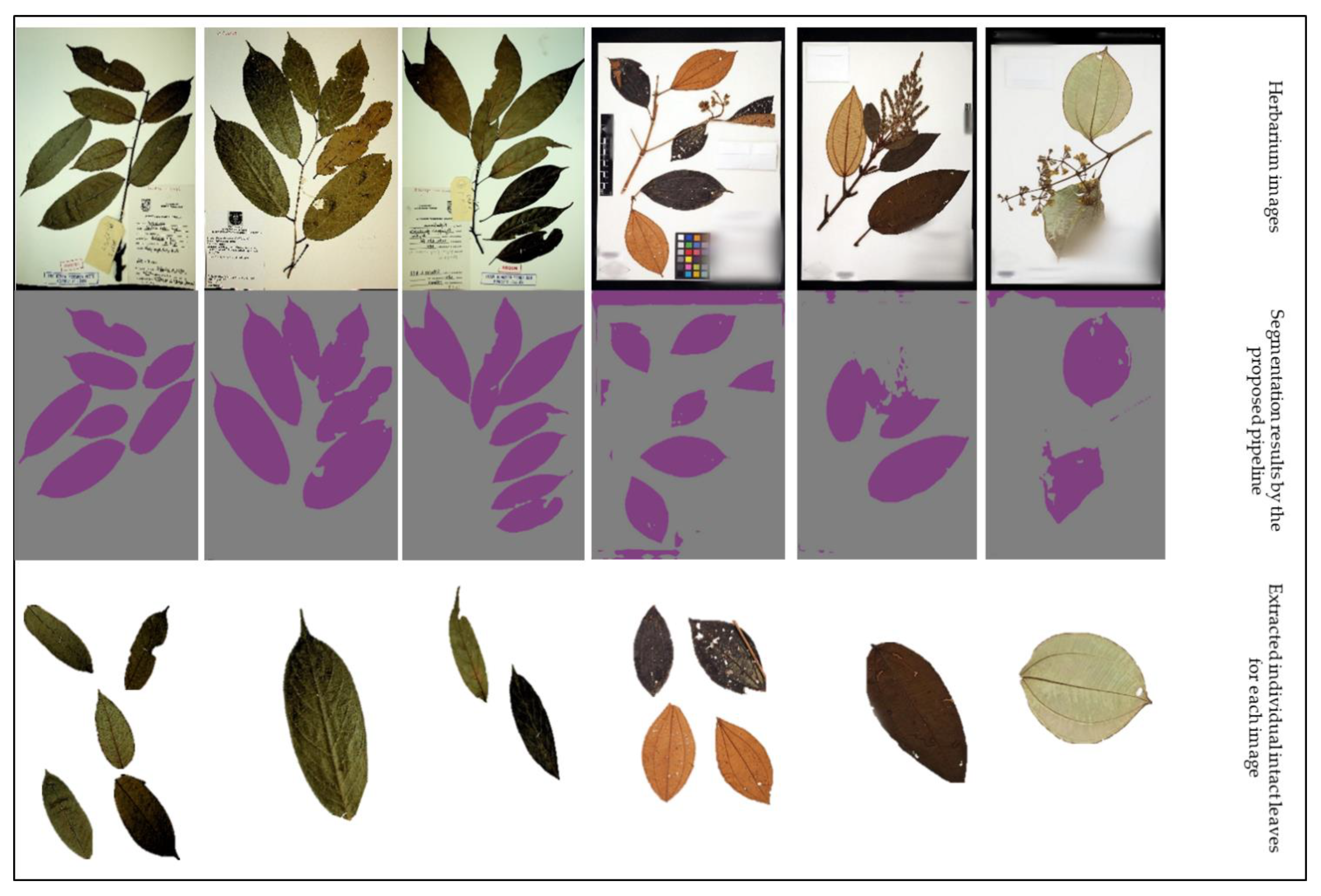 Sensors 21 04549 g009