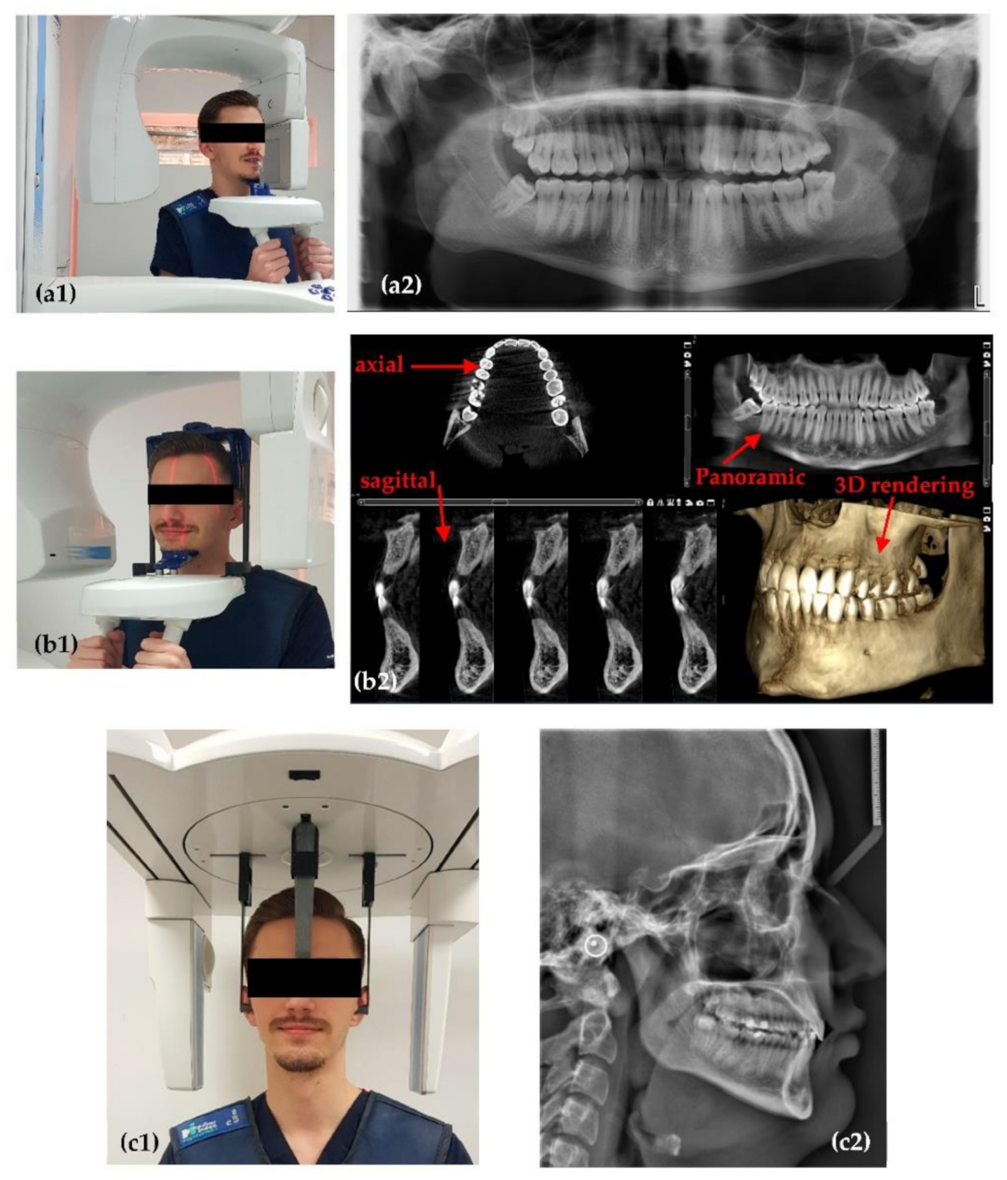 Sensors 21 04554 g001