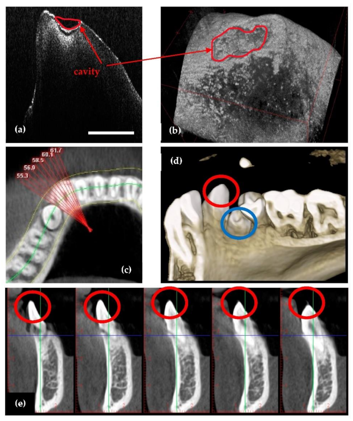 Sensors 21 04554 g005