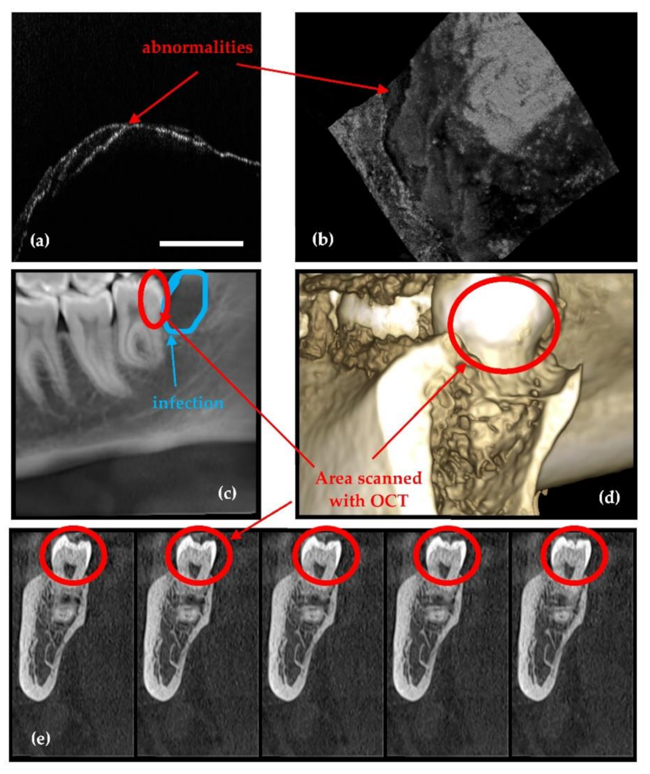 Sensors 21 04554 g006