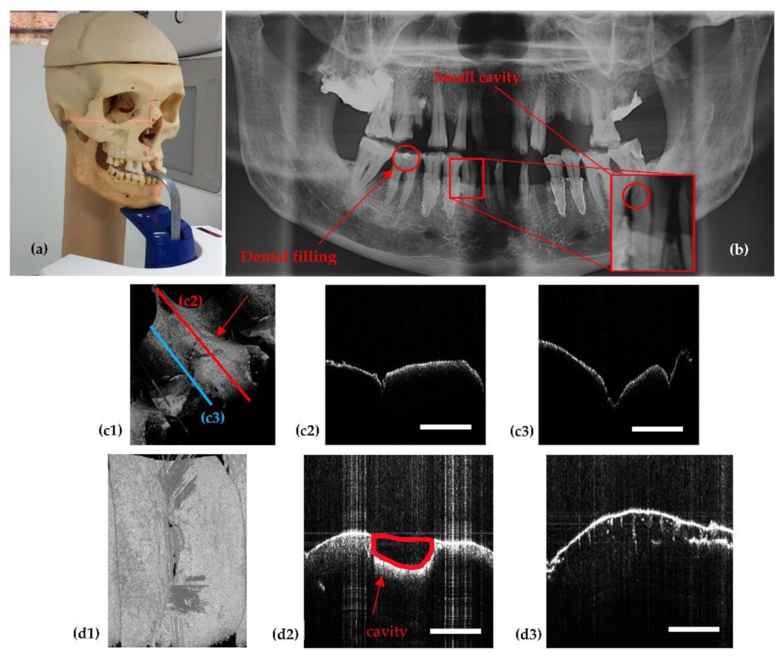 Sensors 21 04554 g007