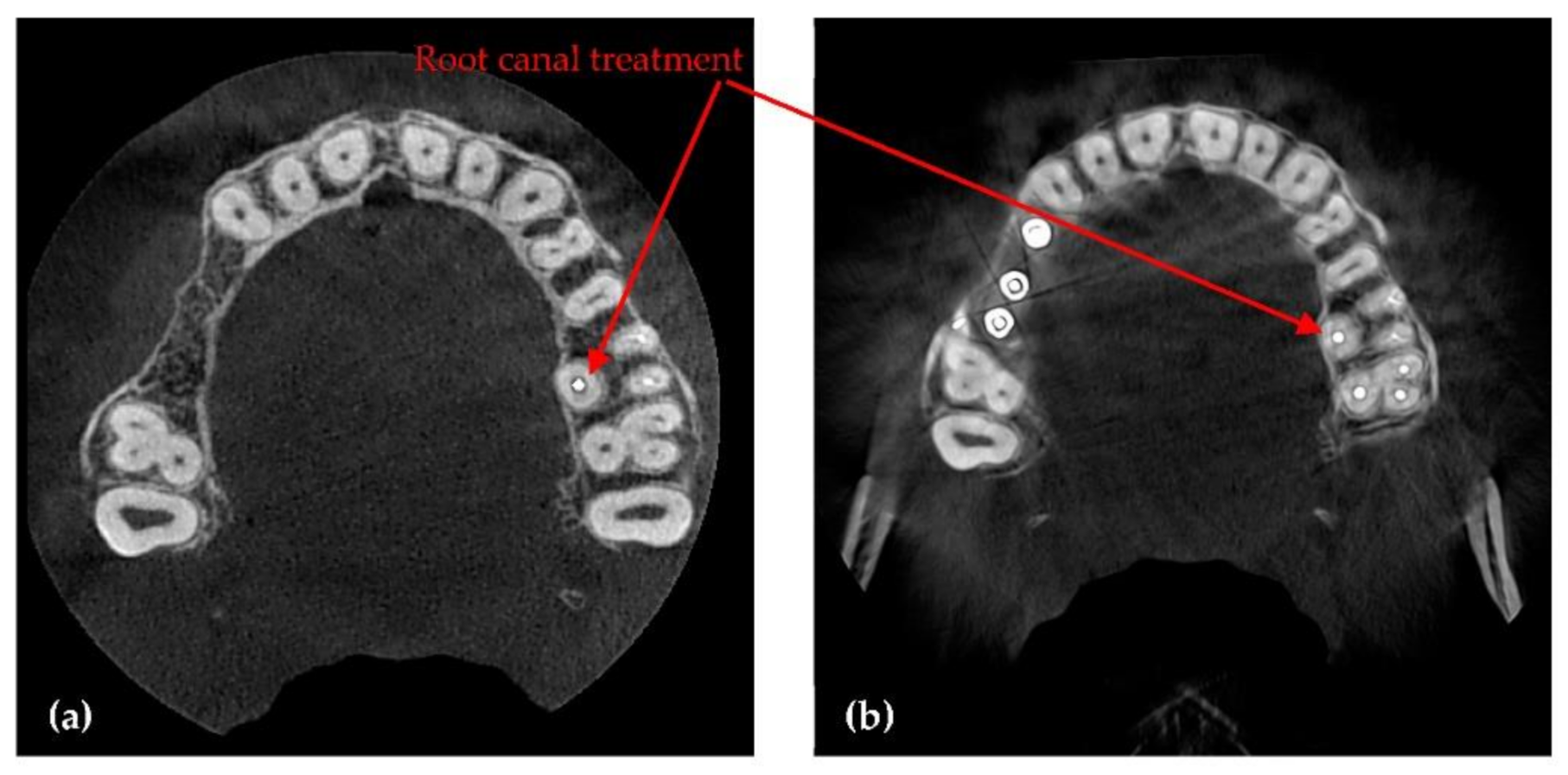Sensors 21 04554 g013