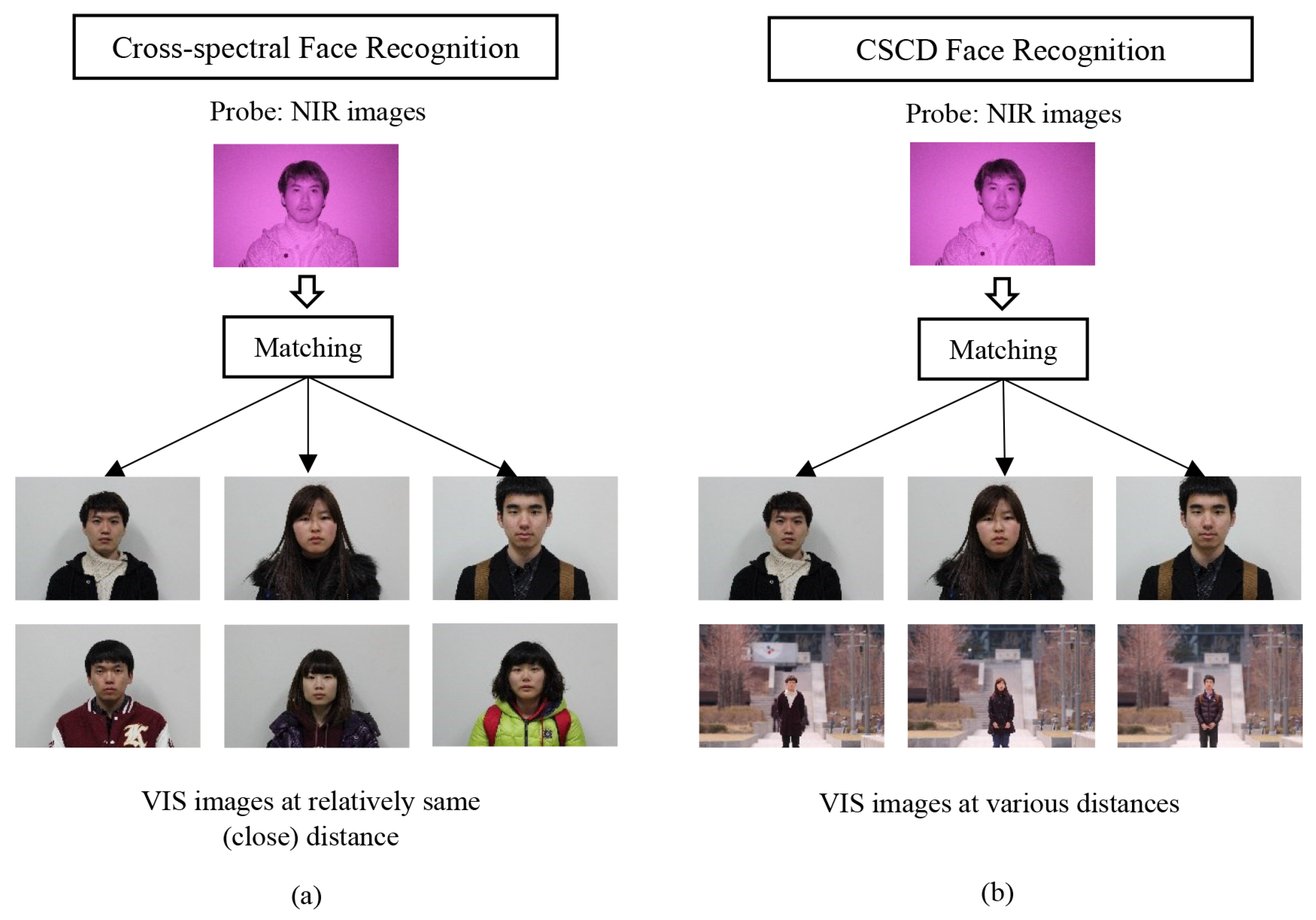 Sensors 21 04575 g001